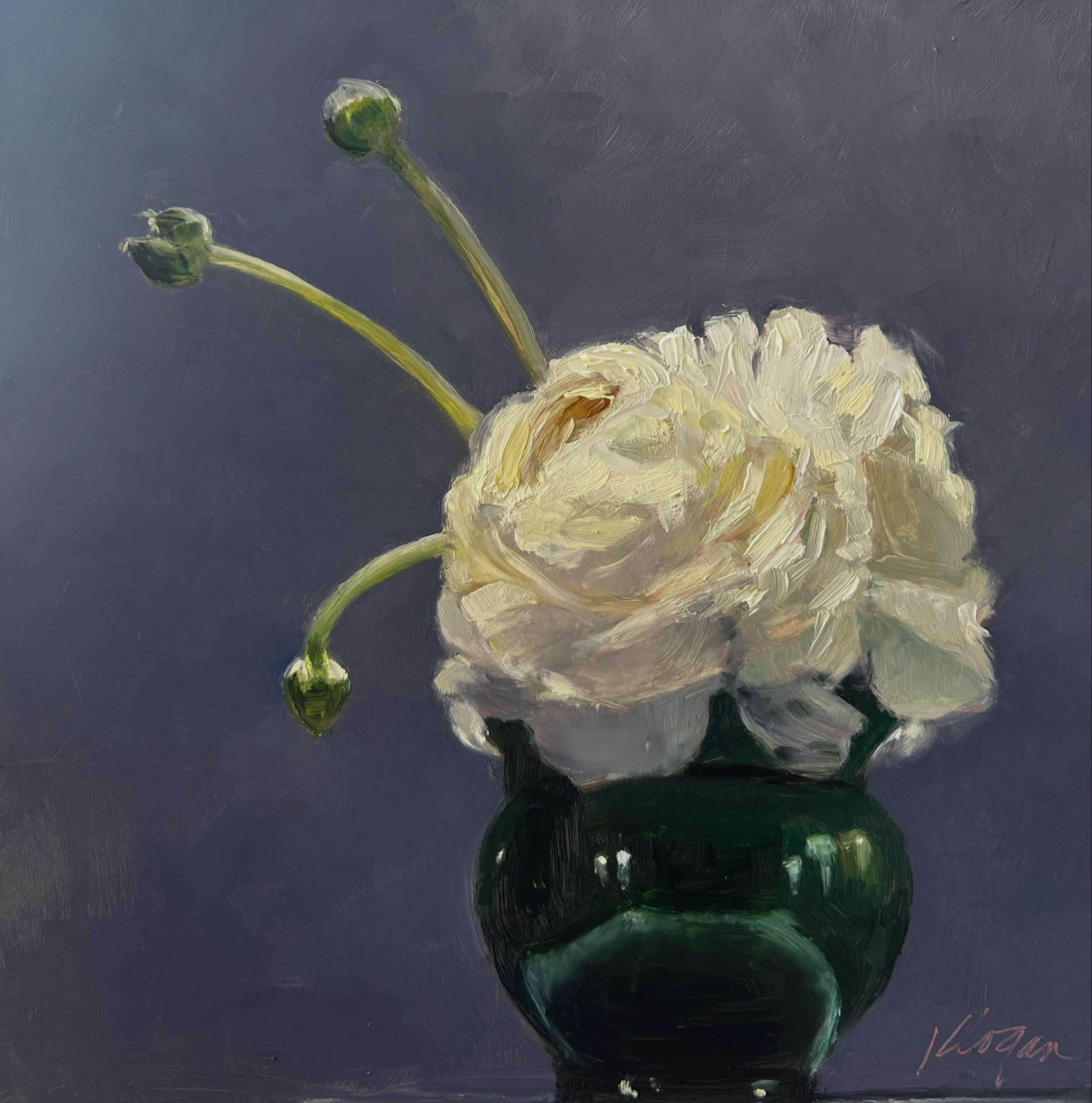 Still life with White Peony 