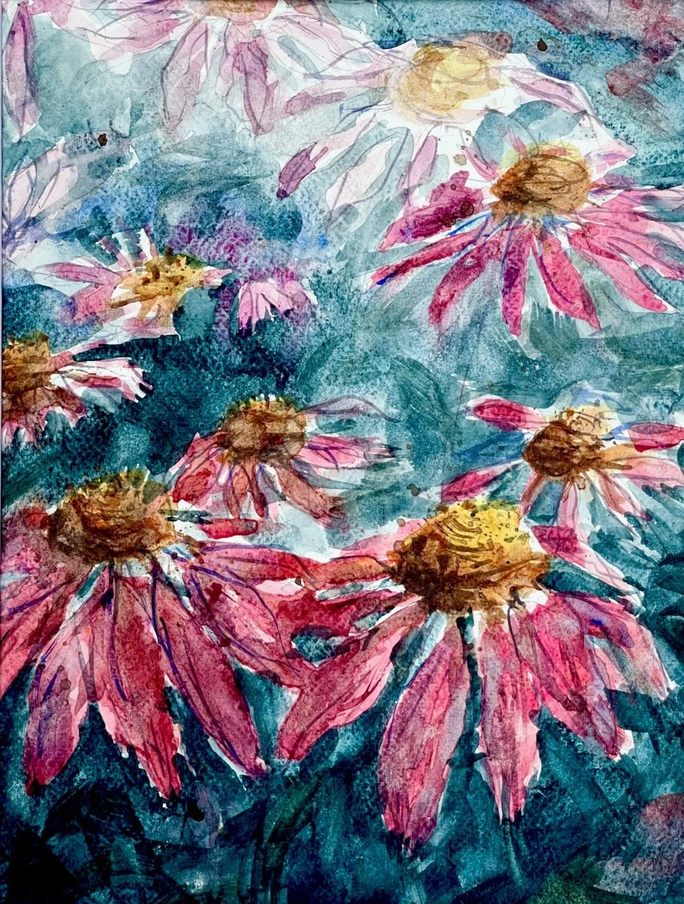 Cone Flowers