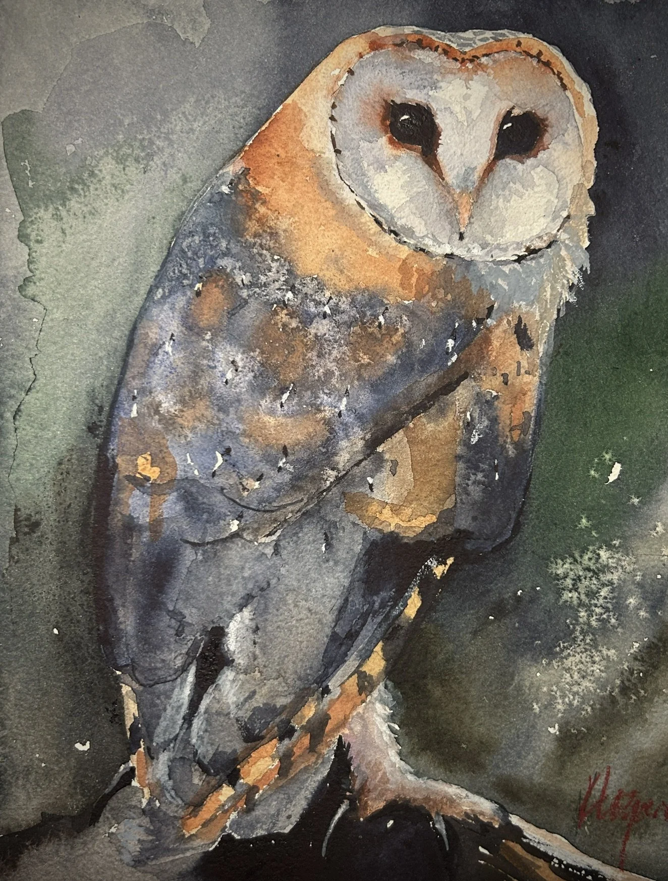 Owl of the Deep Forest