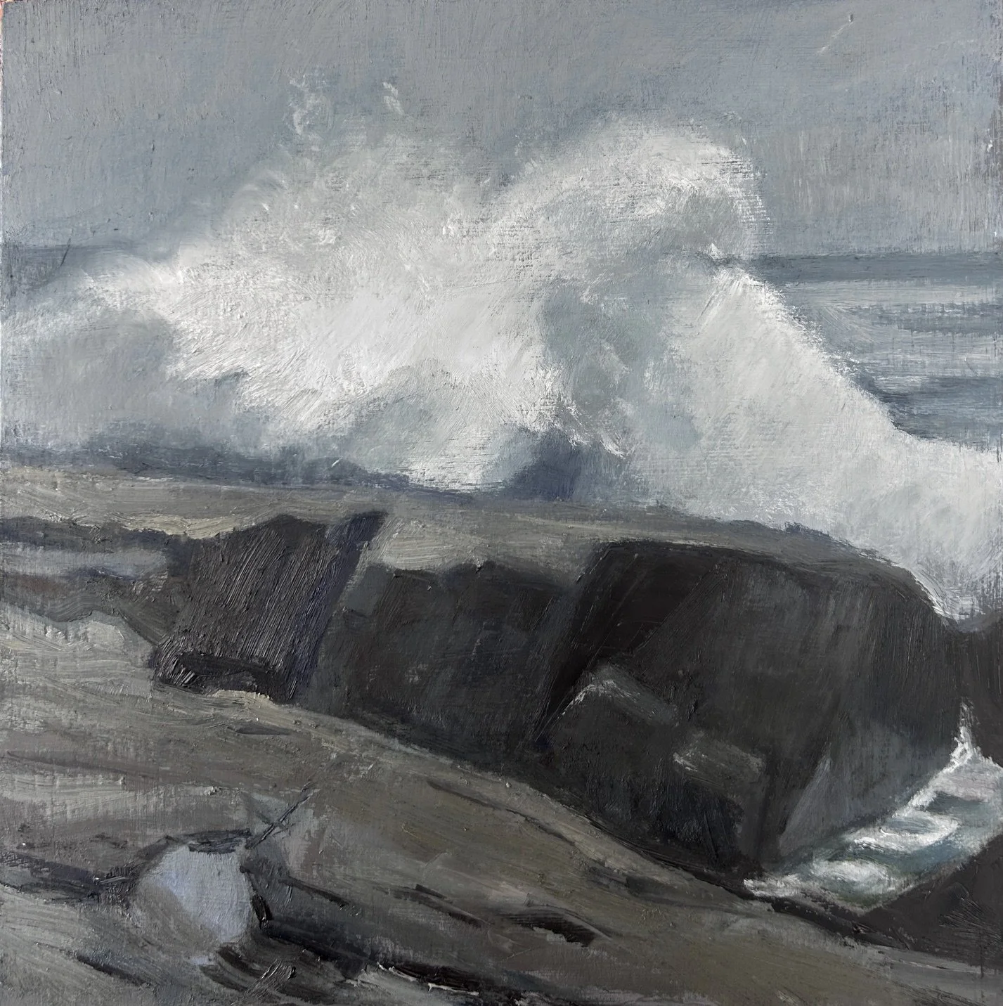 The Weathered Coast