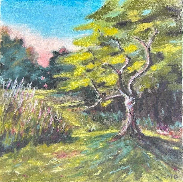 Damrell Path by The Tree 275 pastel.jpg