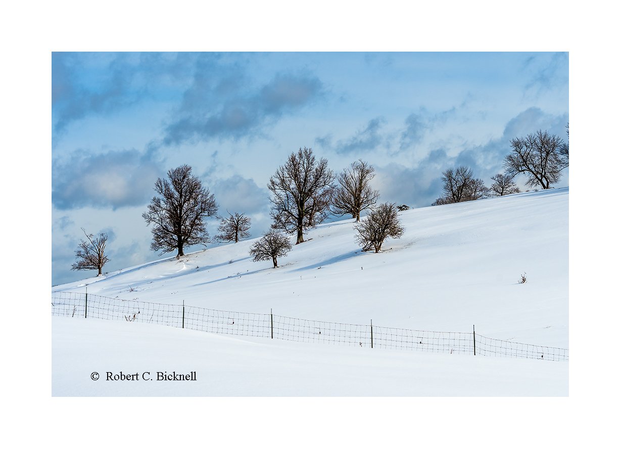 1803140083_Gallery_Clouds_and_Trees adj.jpg