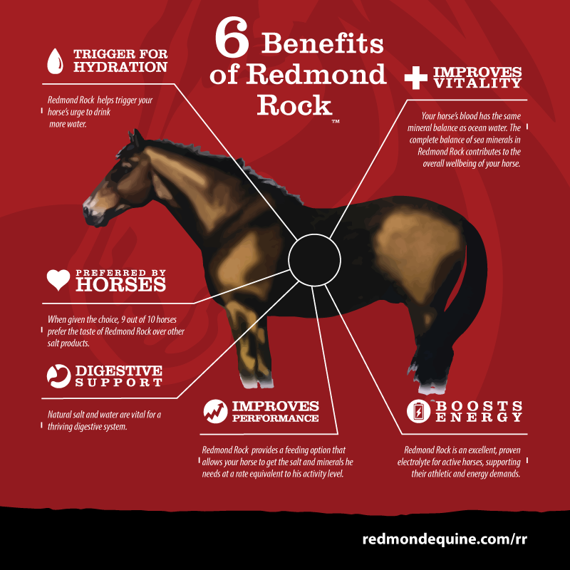 Redmond Daily Red Crushed Salt — Performance Equine Bodywork