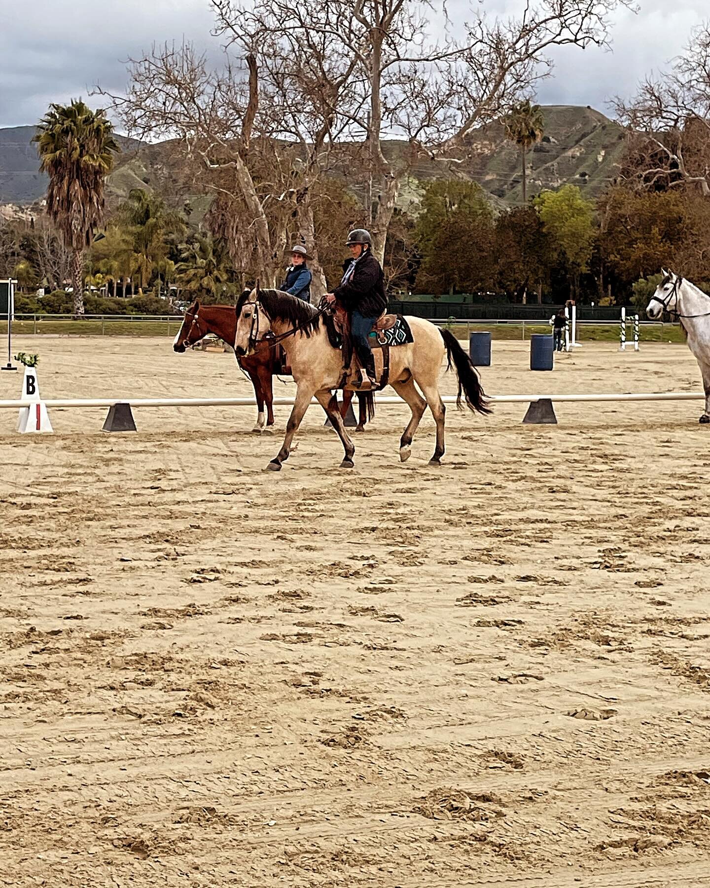 #workingequitation clinic with Sue Watkins at Hansen Dam Horse Park. 
@medicine_horse_ranch and @the_do_over_ranch are here to hone their working Eq skills, currently working in the #dressage arena.