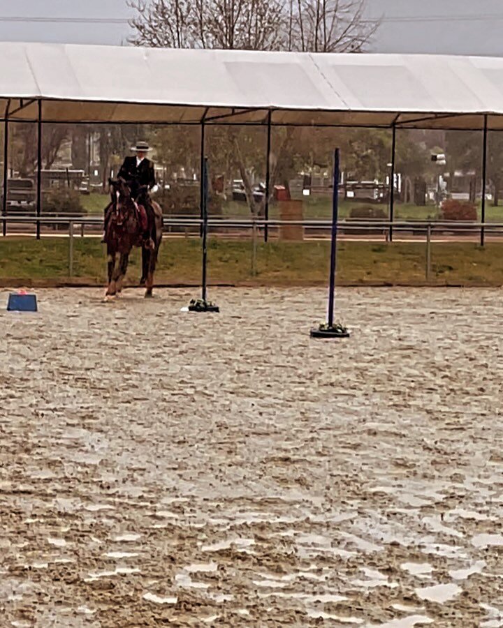 Lovely weather for #workingequitation today at the #winecountryclassic 
The horses are doing great, the humans are a little cold, however the rain is passing and beginning to clear.