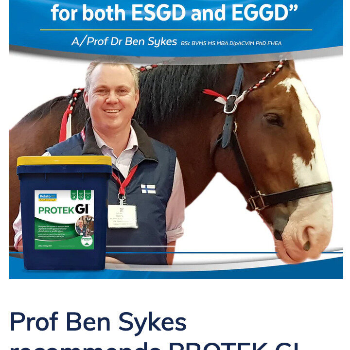 New product added to the Performance Equine Bodywork collection. I've had the good fortune to have met Dr Ben Sykes through the Legacy Equine Nutrition program. Dr Ben has developed a new gastric support product, ProTek GI, that focuses on supporting