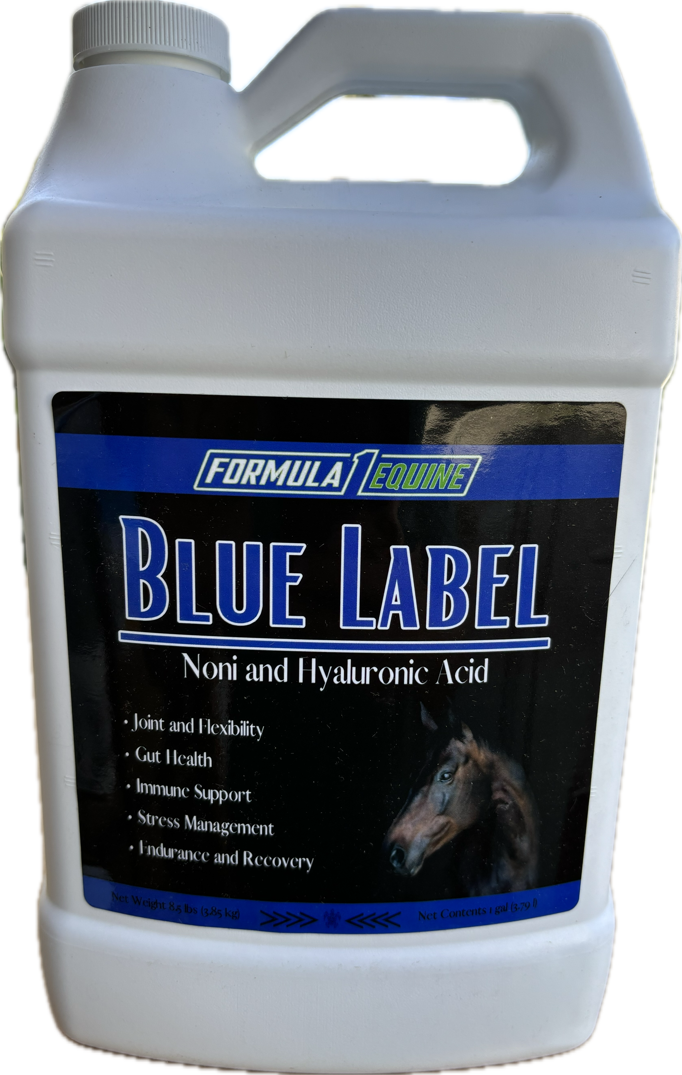 F1 Noni Blue gal.PNG