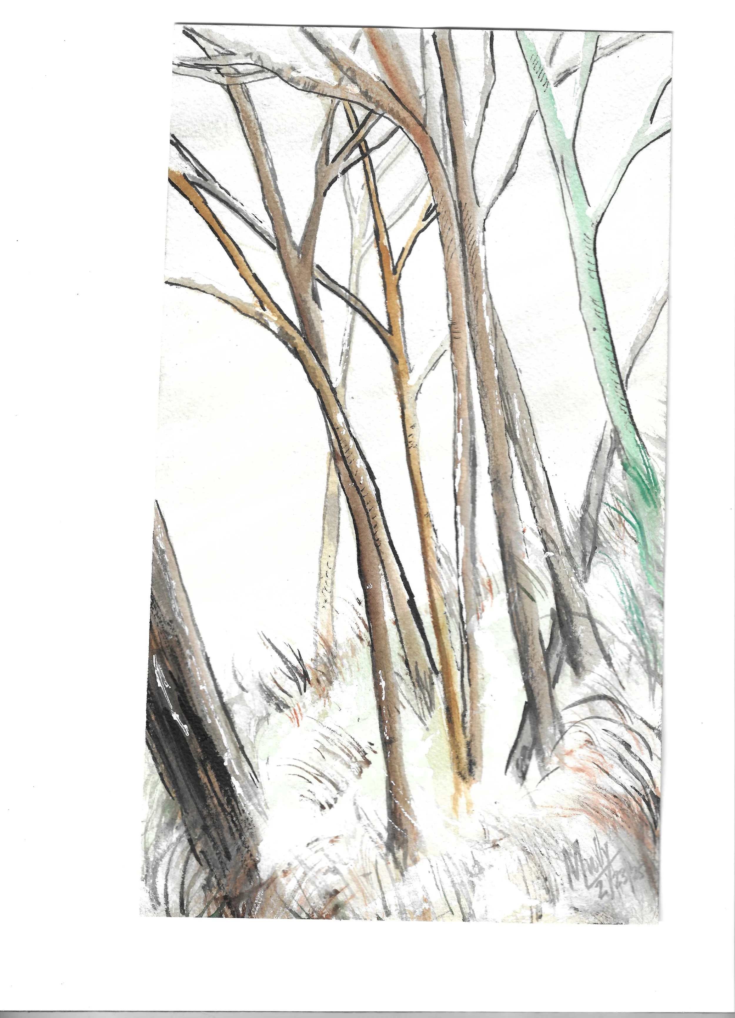 Watercolor Winter Series 2025 #1.jpeg