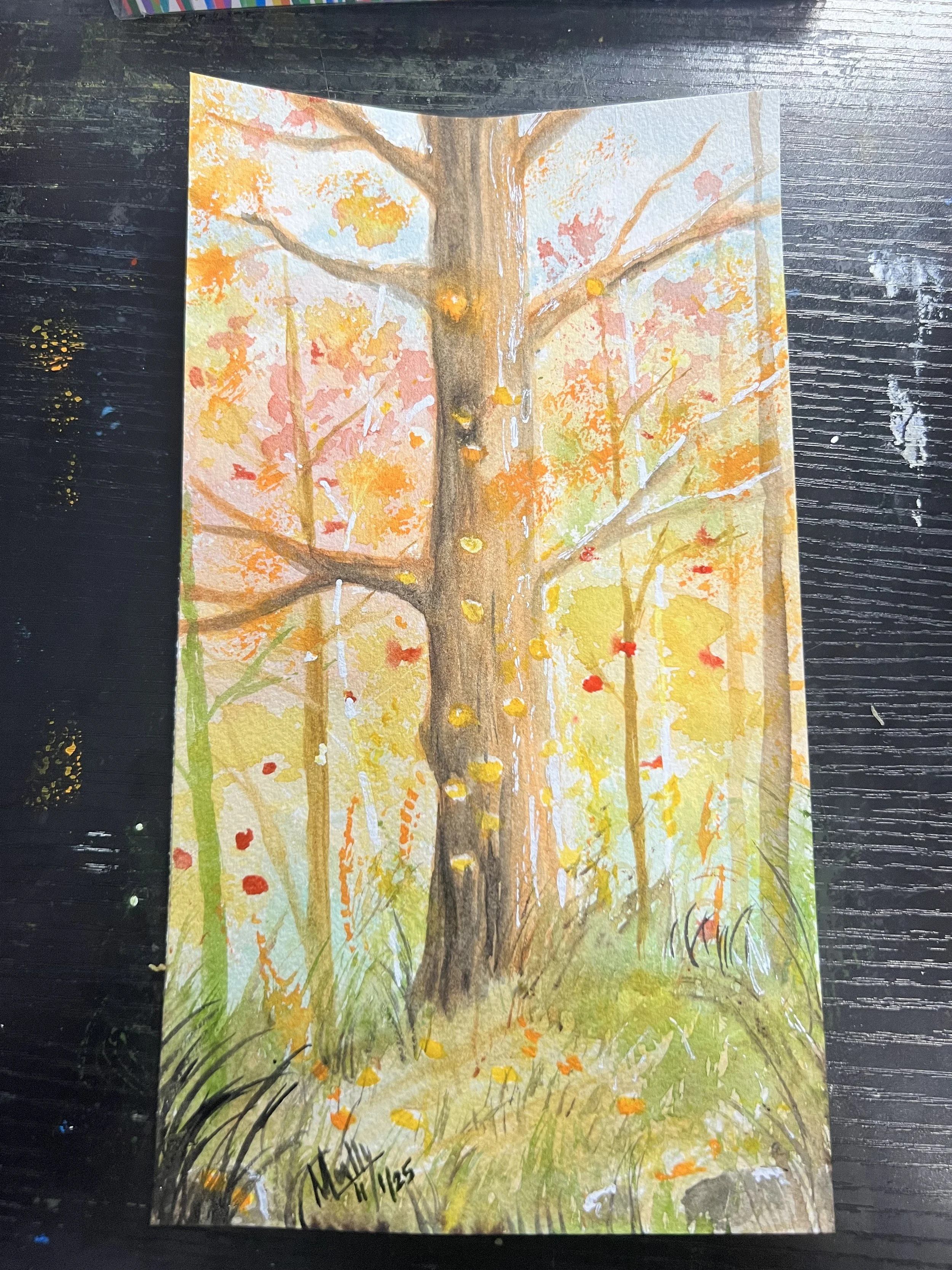 Fall Trees 2025 2.jpg