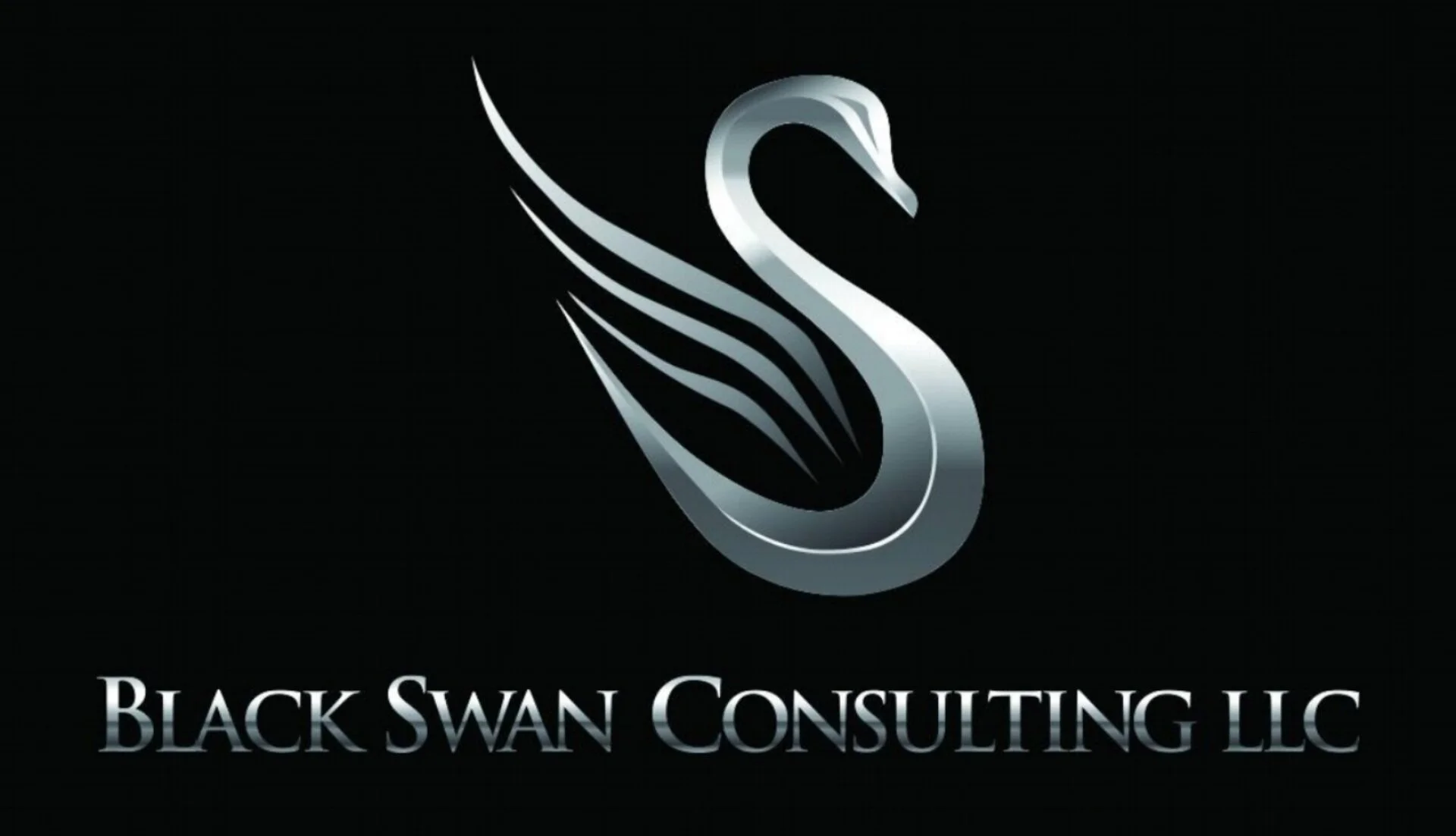 Black Swan Consulting, LLC