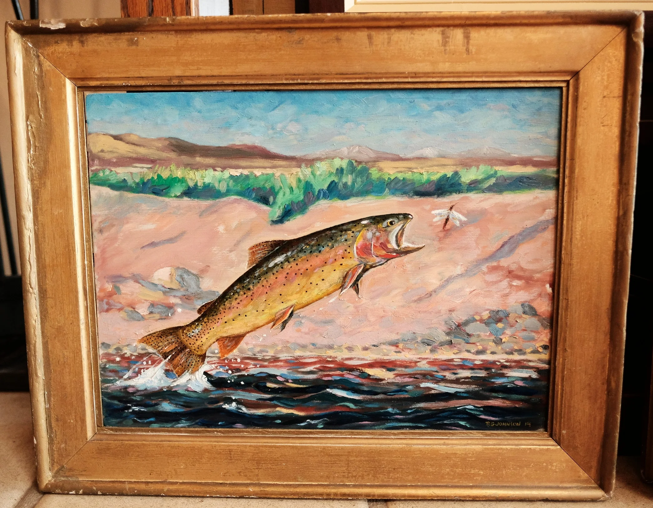 Cutthroat Trout - Oil on Panel 20x16