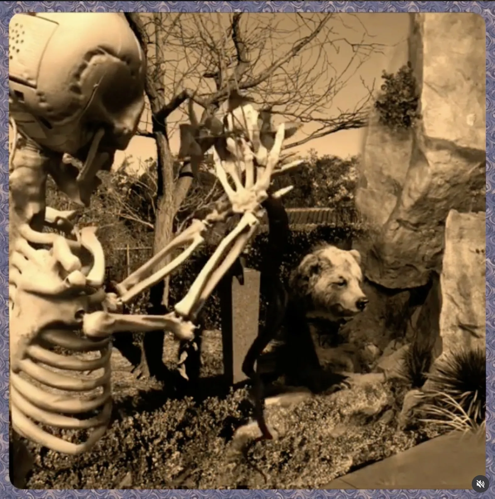 death and the bear.jpg