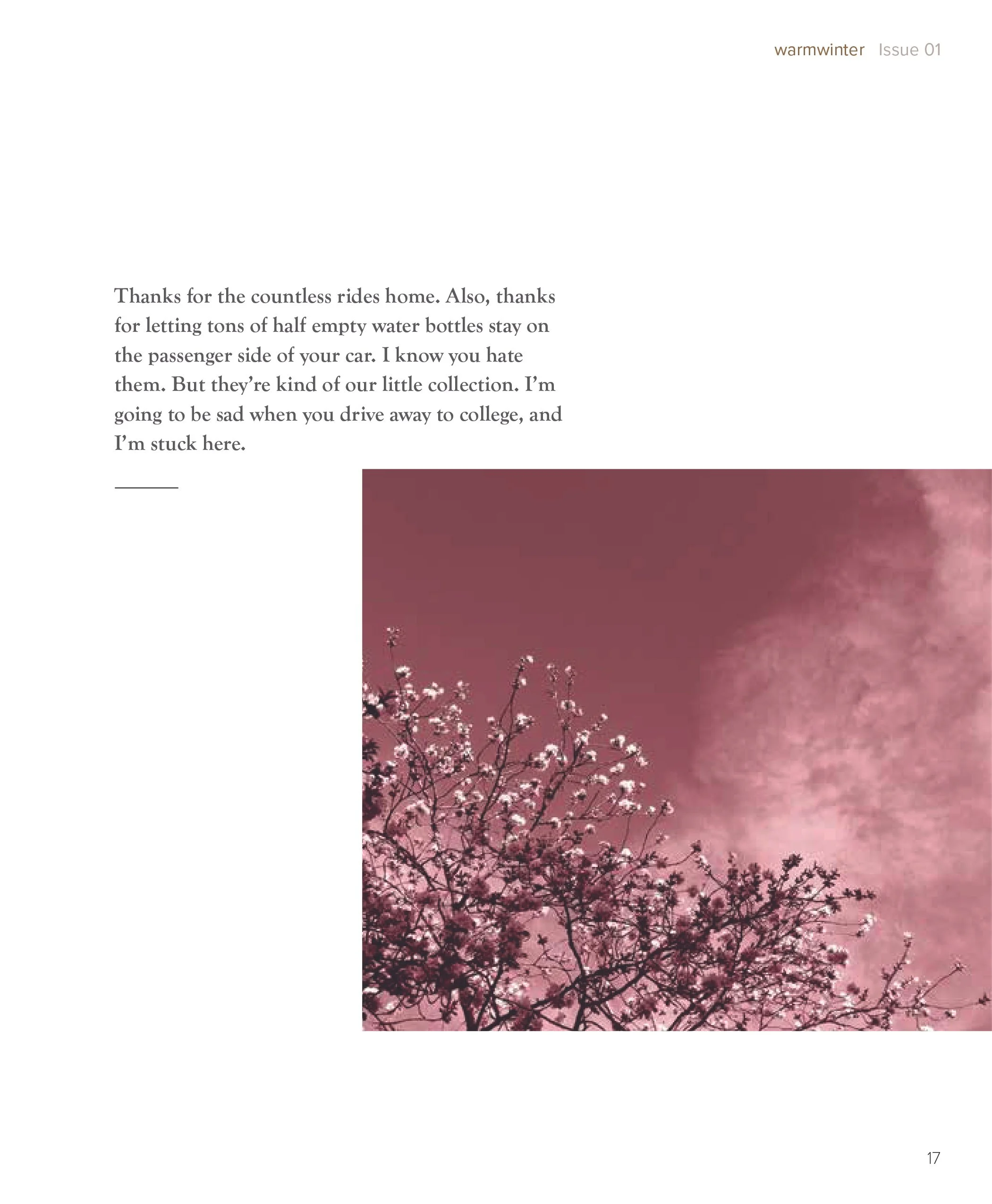 warmwinter-23.jpg