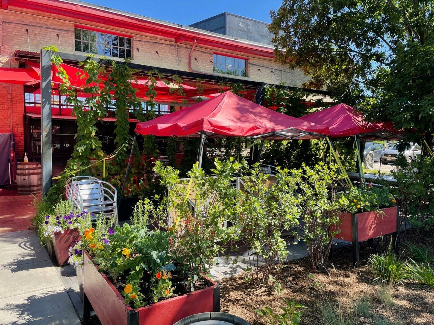We've got lots coming up when that warm weather hits!

If Montana cooperates, our patio will be ready for seating on the 10TH, and our summer menu is launching on the 14th! 

So excited to share it with you, Bozeman. 

#montanafood #bozemanfood #down