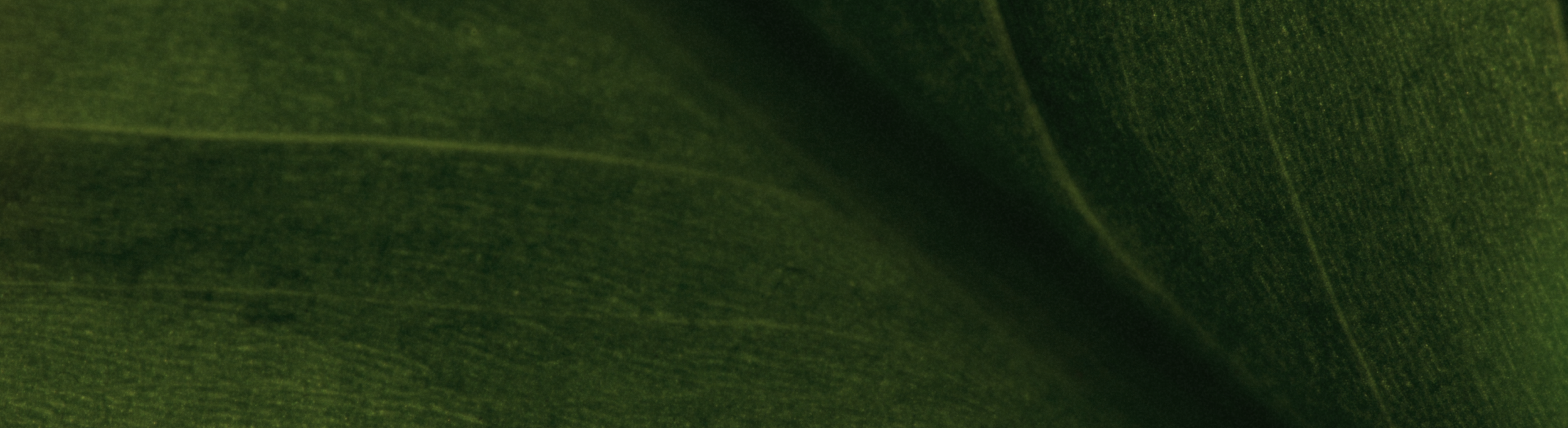 IS-Mothers Day Workshops 2026-5-POS (3).png