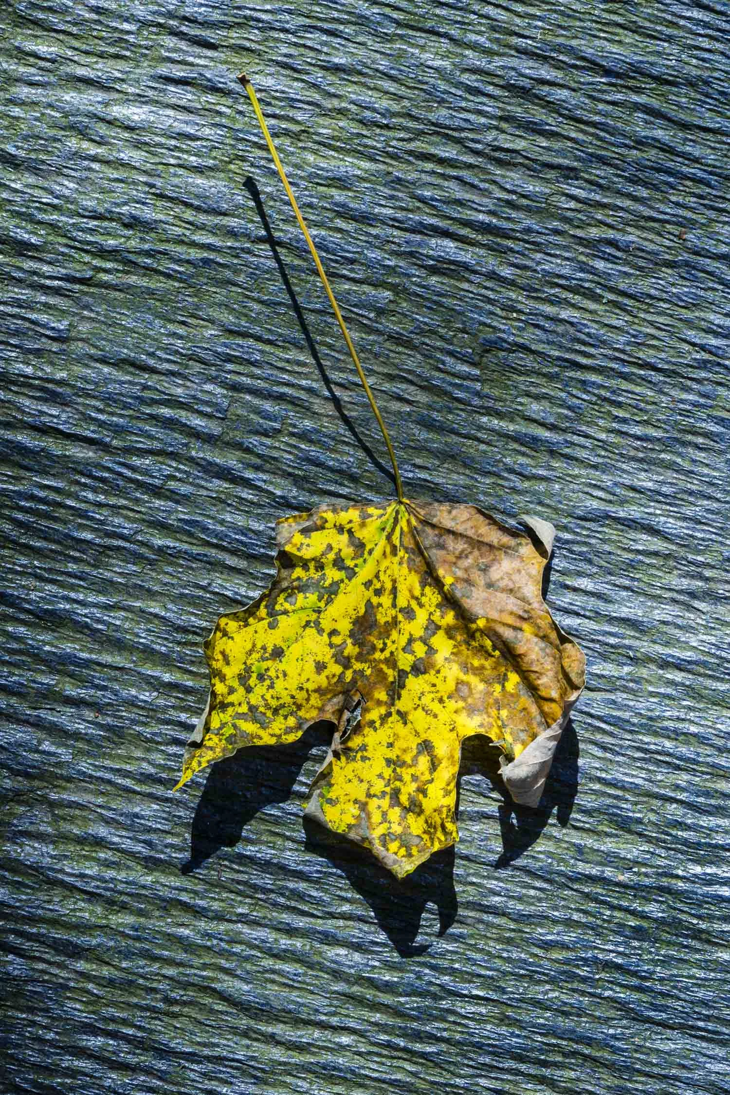 'Ambivalent No.2' Kent CT 2015
