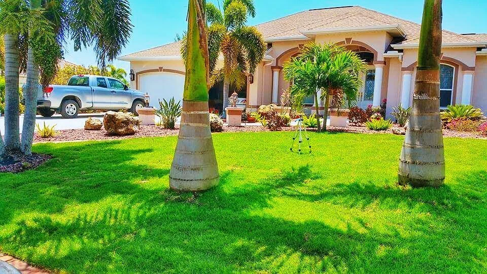 Five Tips For Lawn Care In Florida All Service Pest Management Inc 