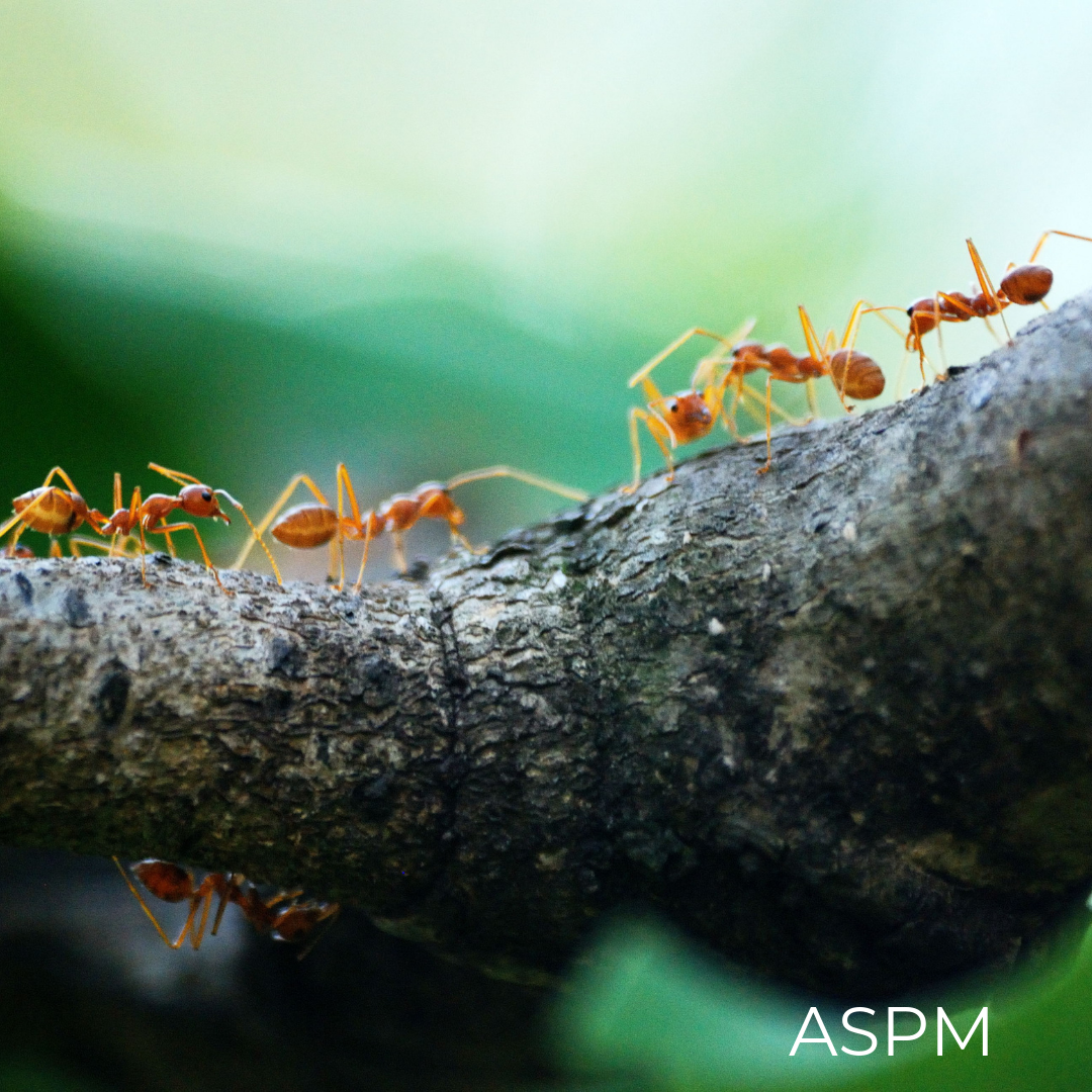 ASPM.png