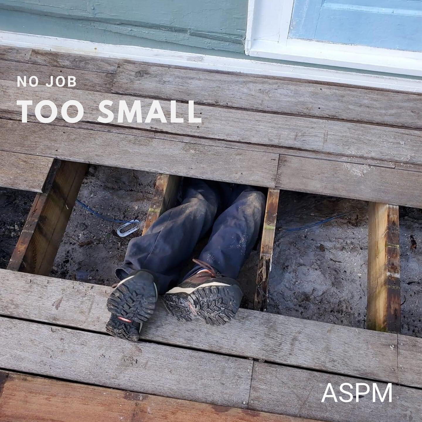 There is no job too small, too tall, too long, or too tough for ASPM. Whatever it is - we have your back!