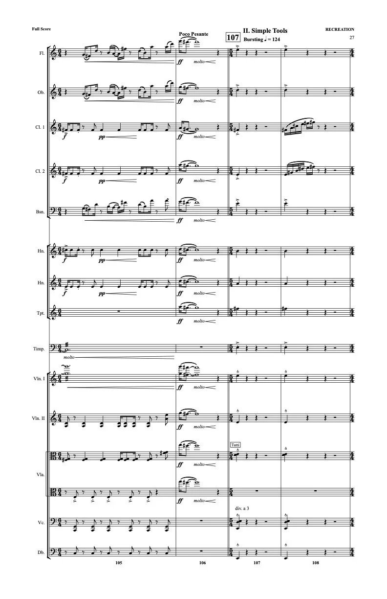 concert works — Daniel Rudin