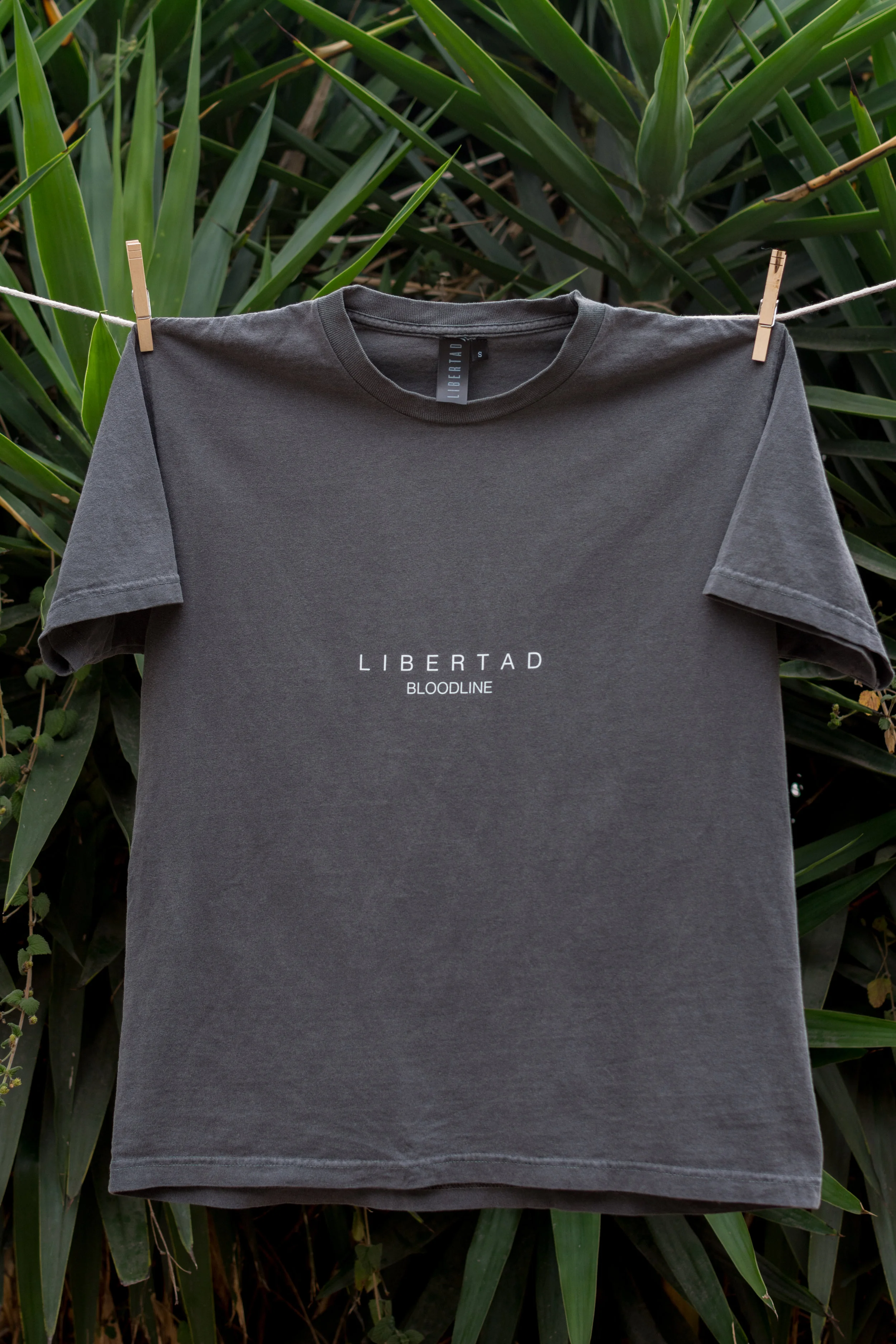 LIBERTAD_BLOODLINE_PRODUCT_44.JPG