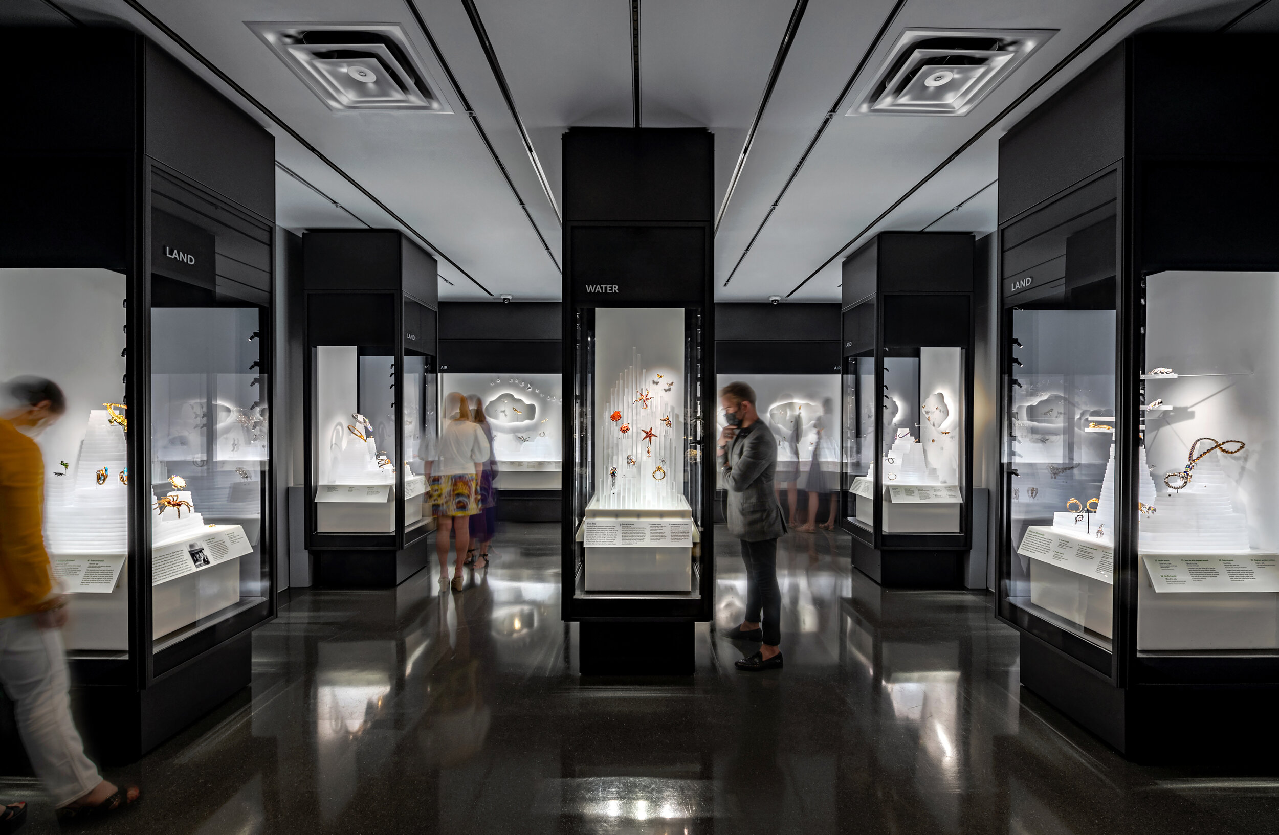 Beautiful Creatures curated by Marion Fasel, June 2021 AMNH - photo by Andrew Werner 2.jpg