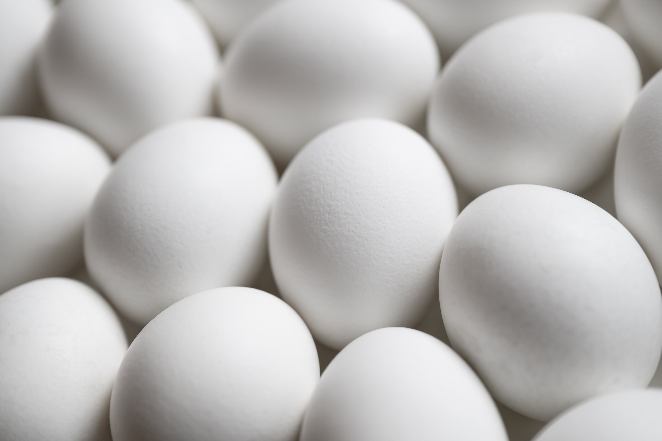 Eggs by Andrew Werner.jpg