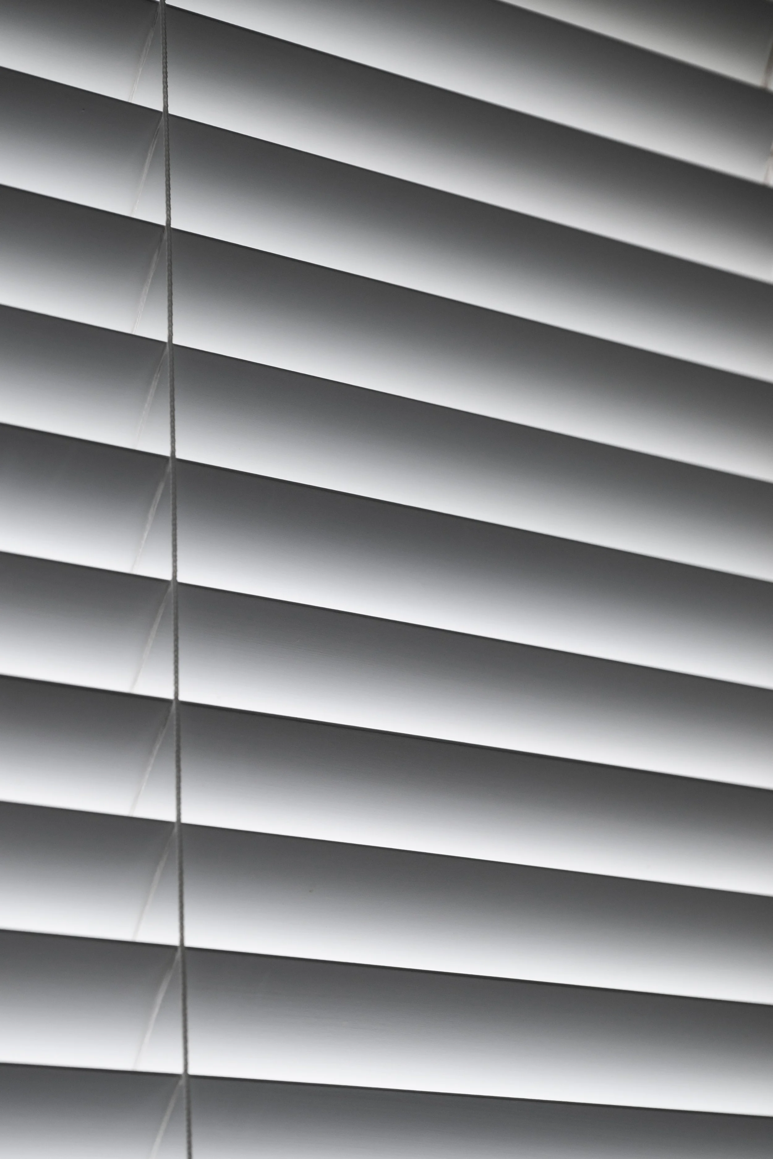 Window Blinds by photographer Andrew Werner.jpg
