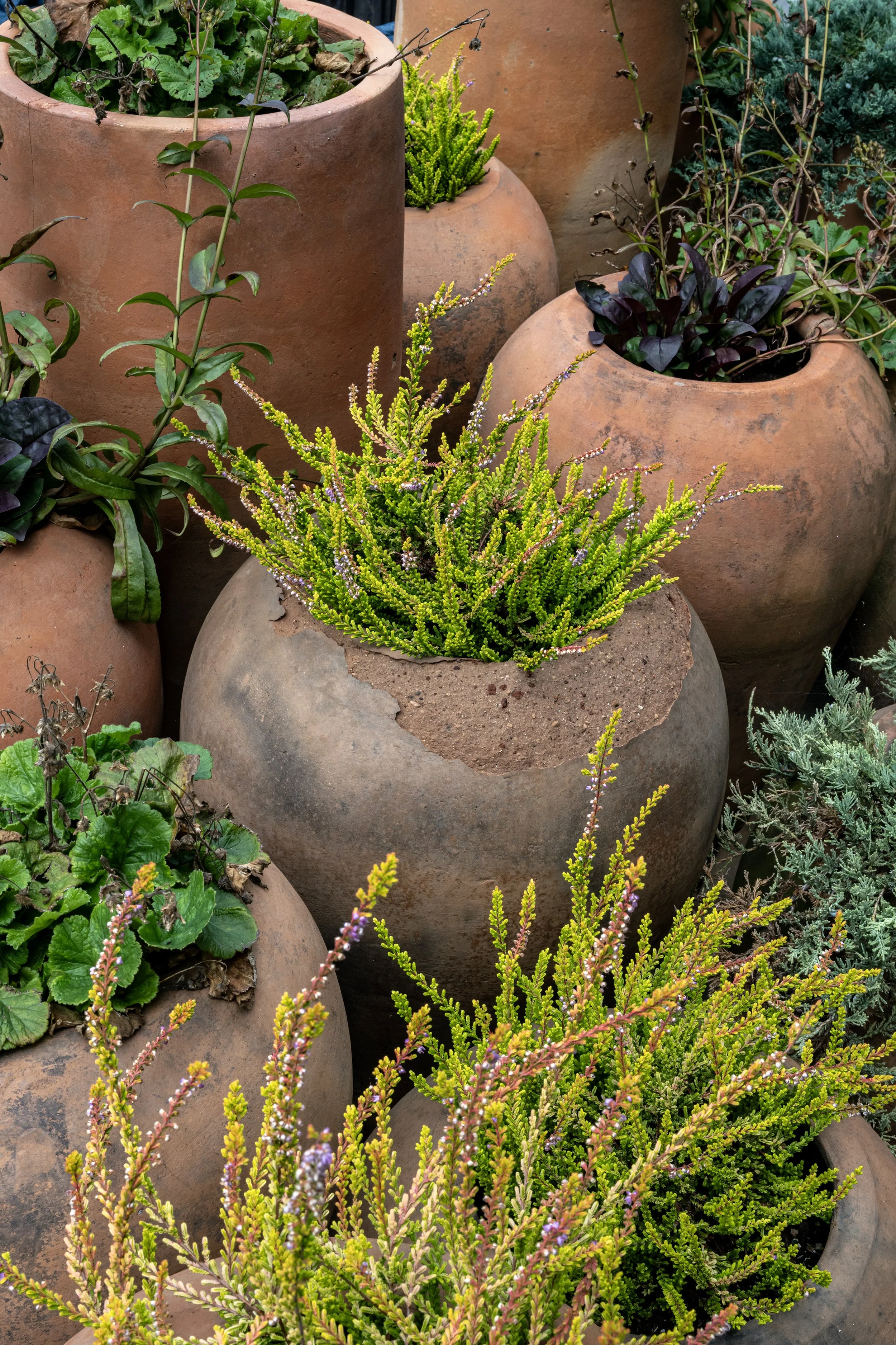 Terracotta Pots - photo by Andrew Werner .jpg