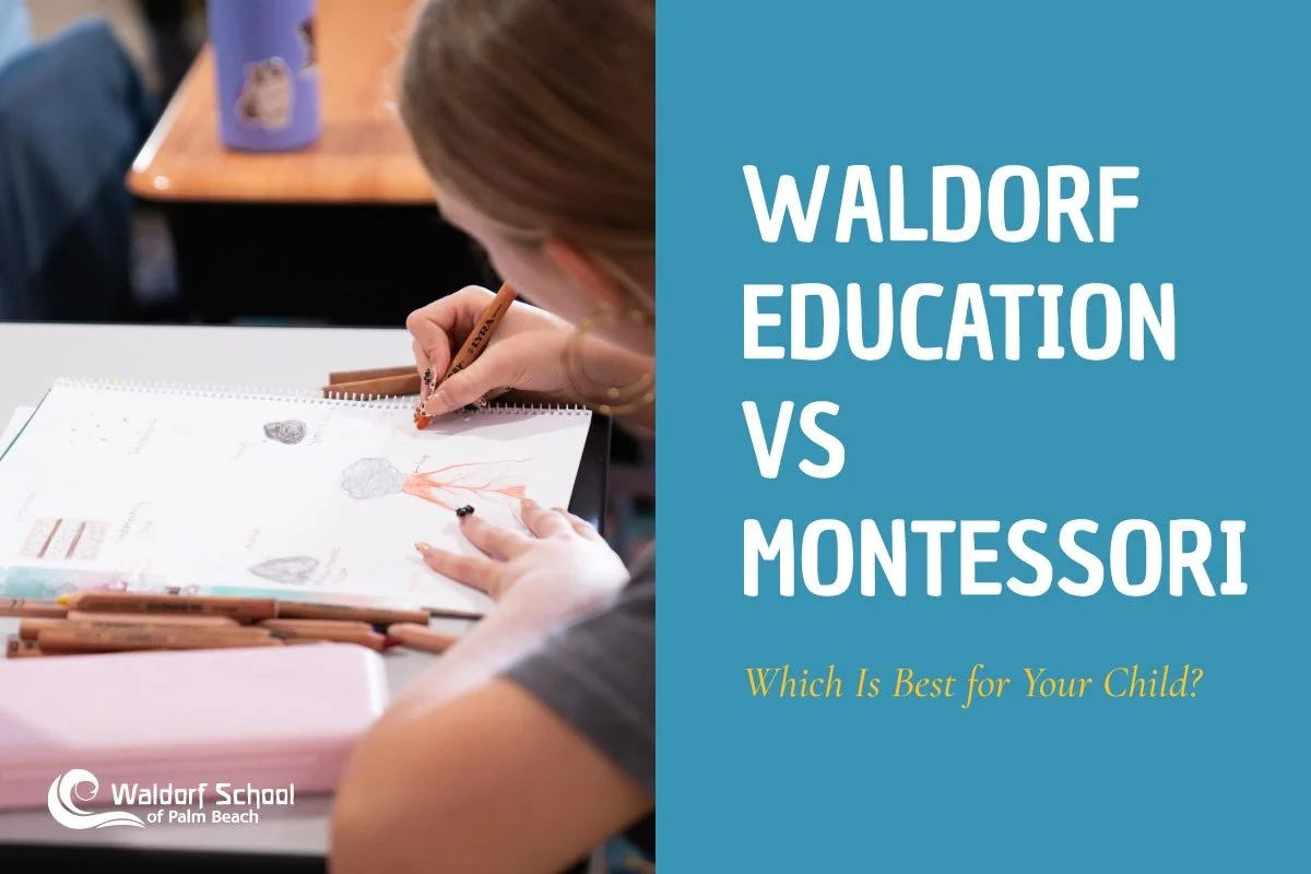 Waldorf Education vs Montessori: 7 Crucial Differences
