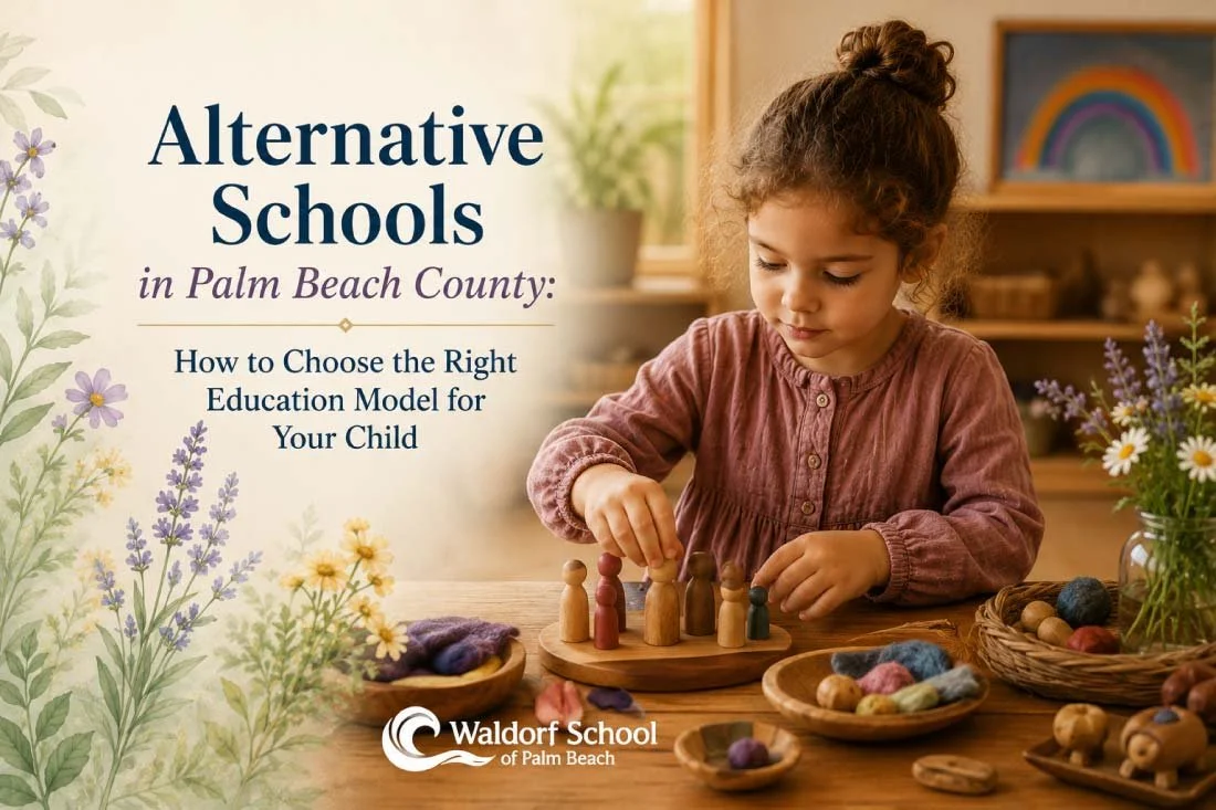 Alternative Schools in Palm Beach County: How to Choose the Right Education Model for Your Child