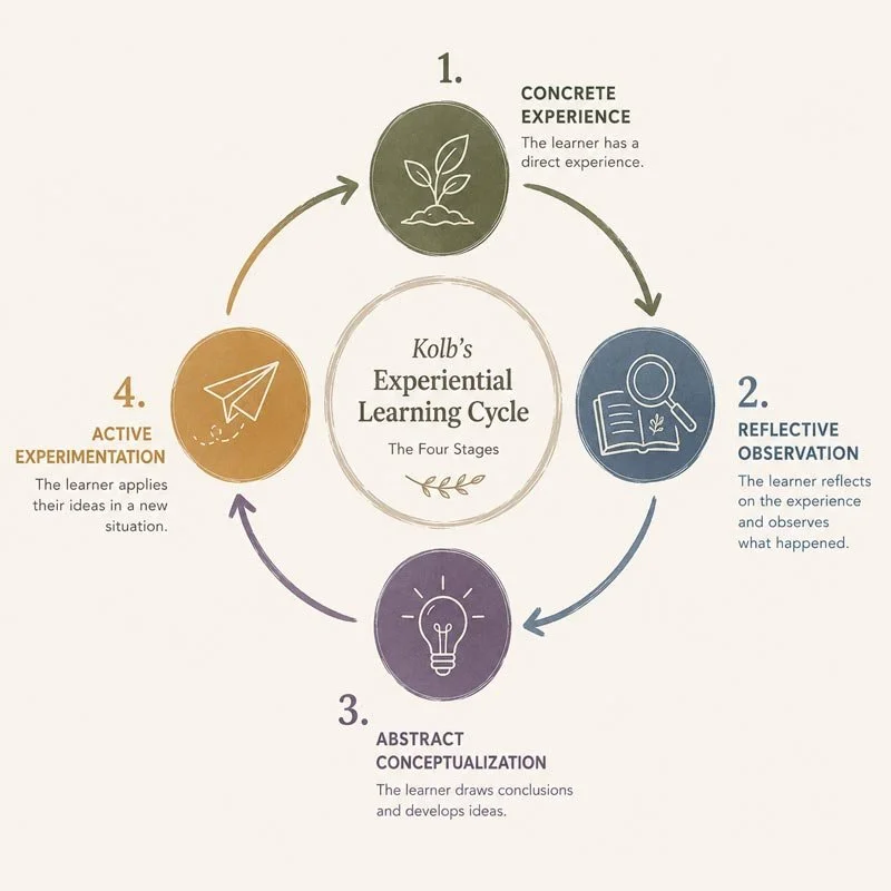 kolbs experiential learning cycle