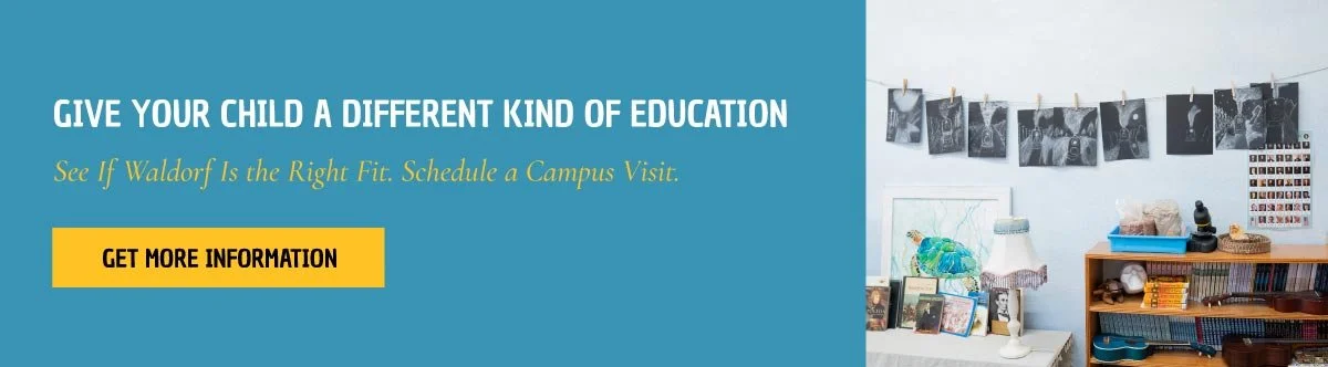 waldorf school of palm beach boca raton