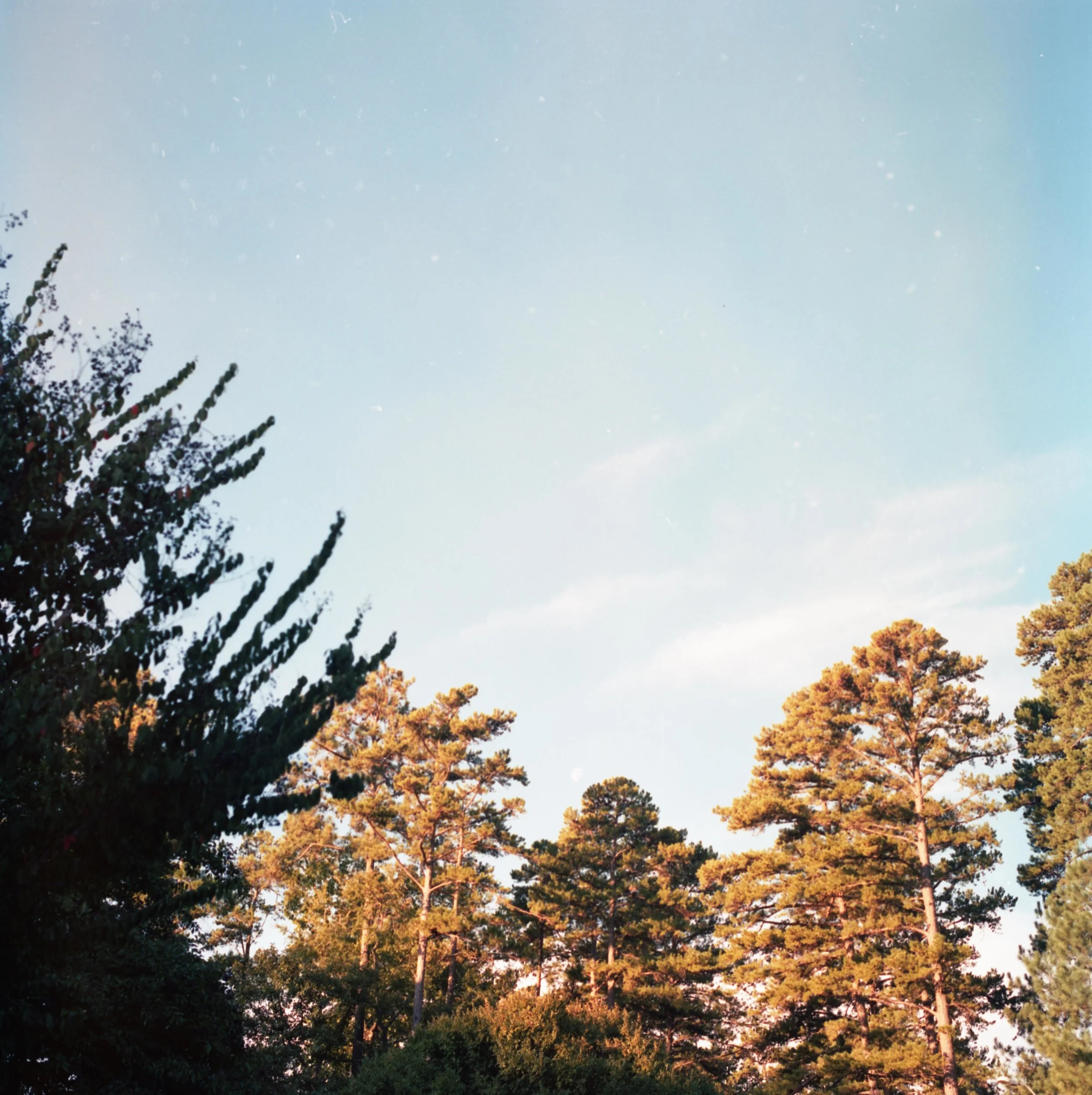 sky.jpg