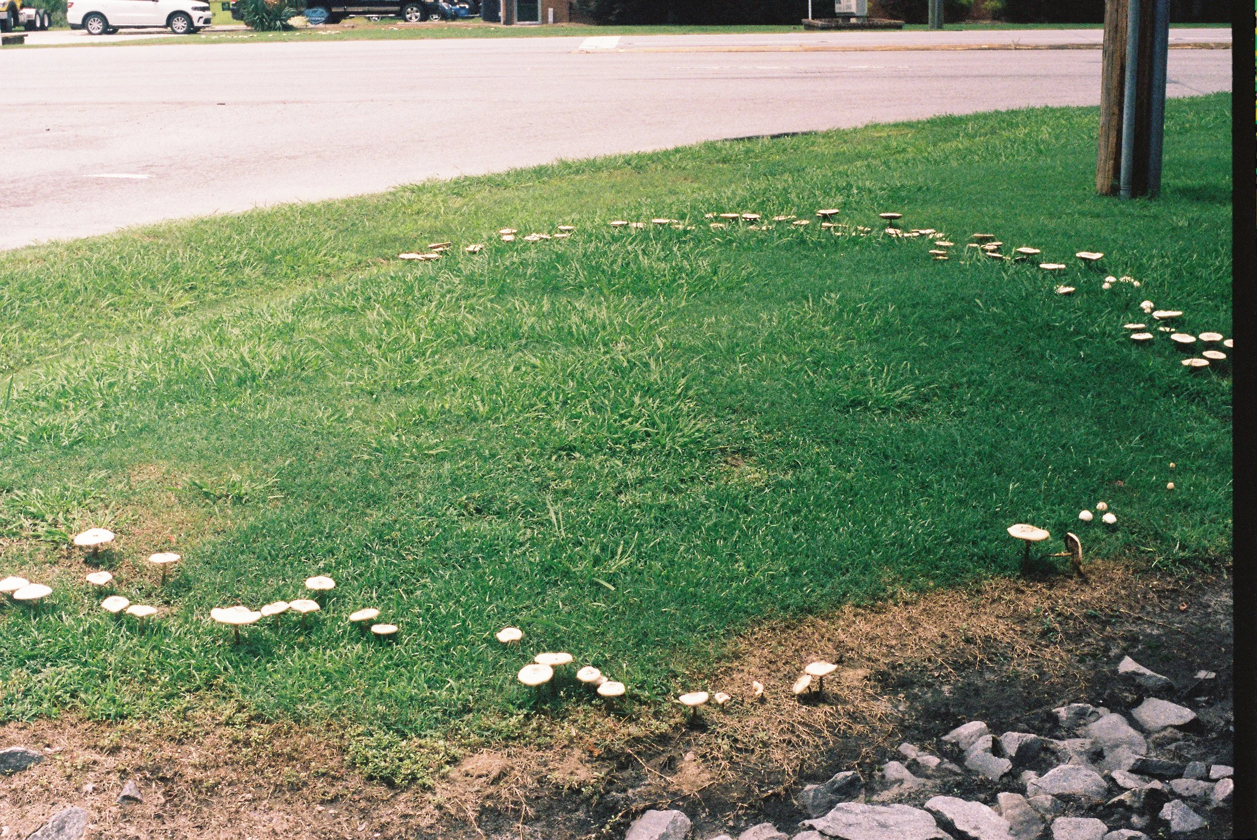 Yours950004104-R1-E021.jpg