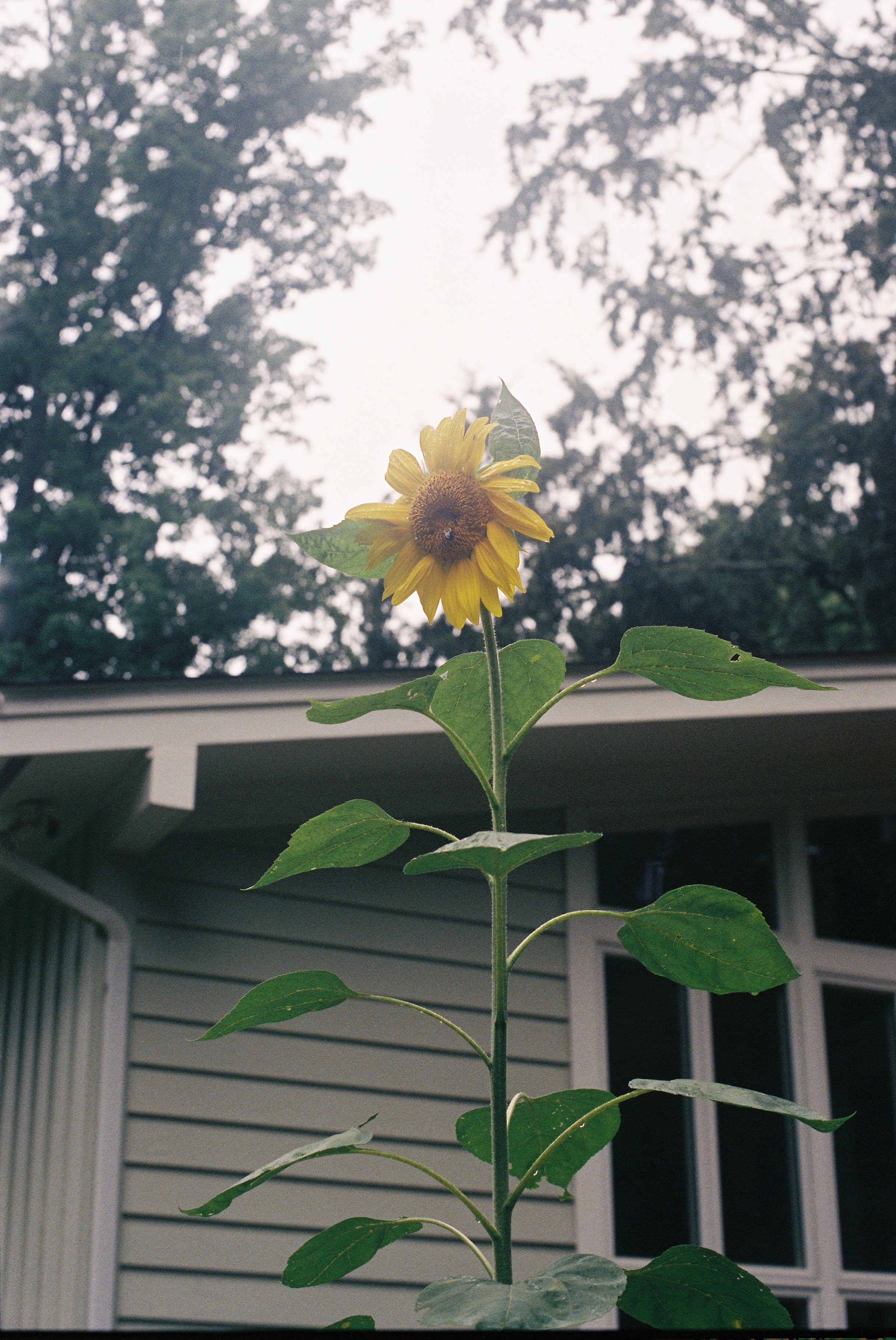 Yours950004104-R1-E024.jpg