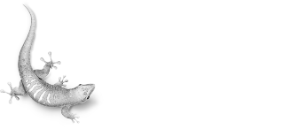 Bostik-Logo-White.png