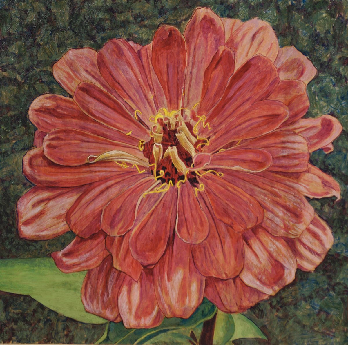 Zinnia web.jpeg
