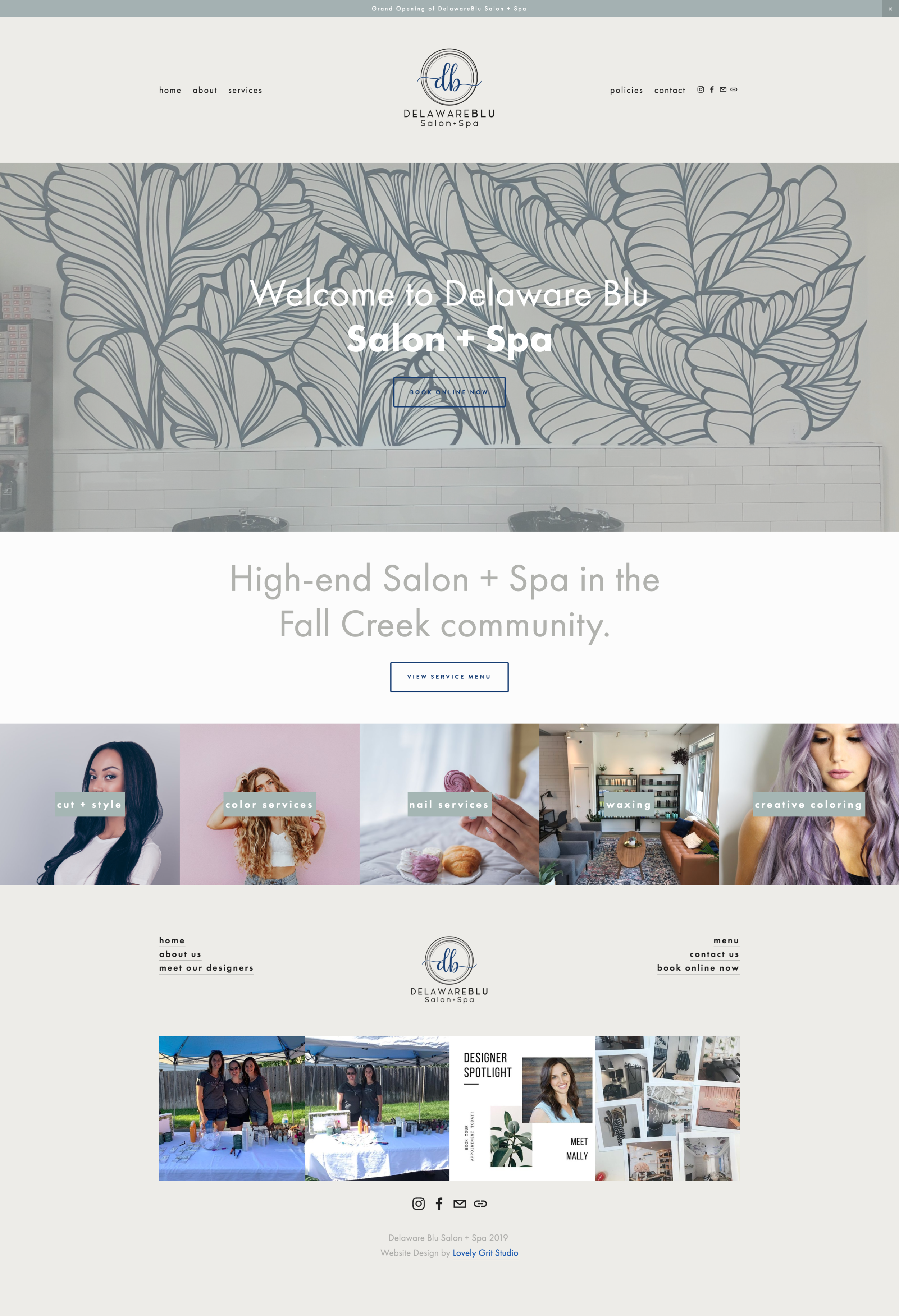 screencapture-delawareblusalon-2019-07-10-14_03_14.png