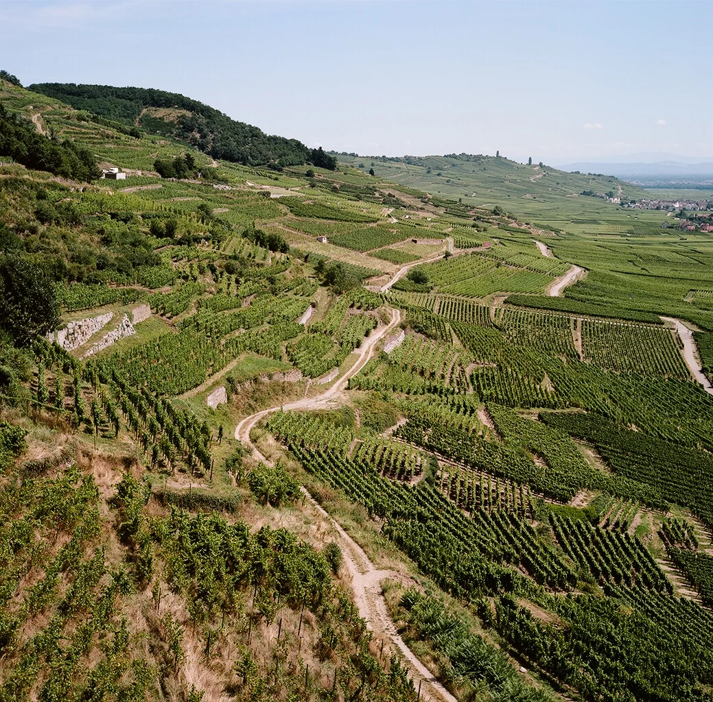schlossberg, kaysersberg, france