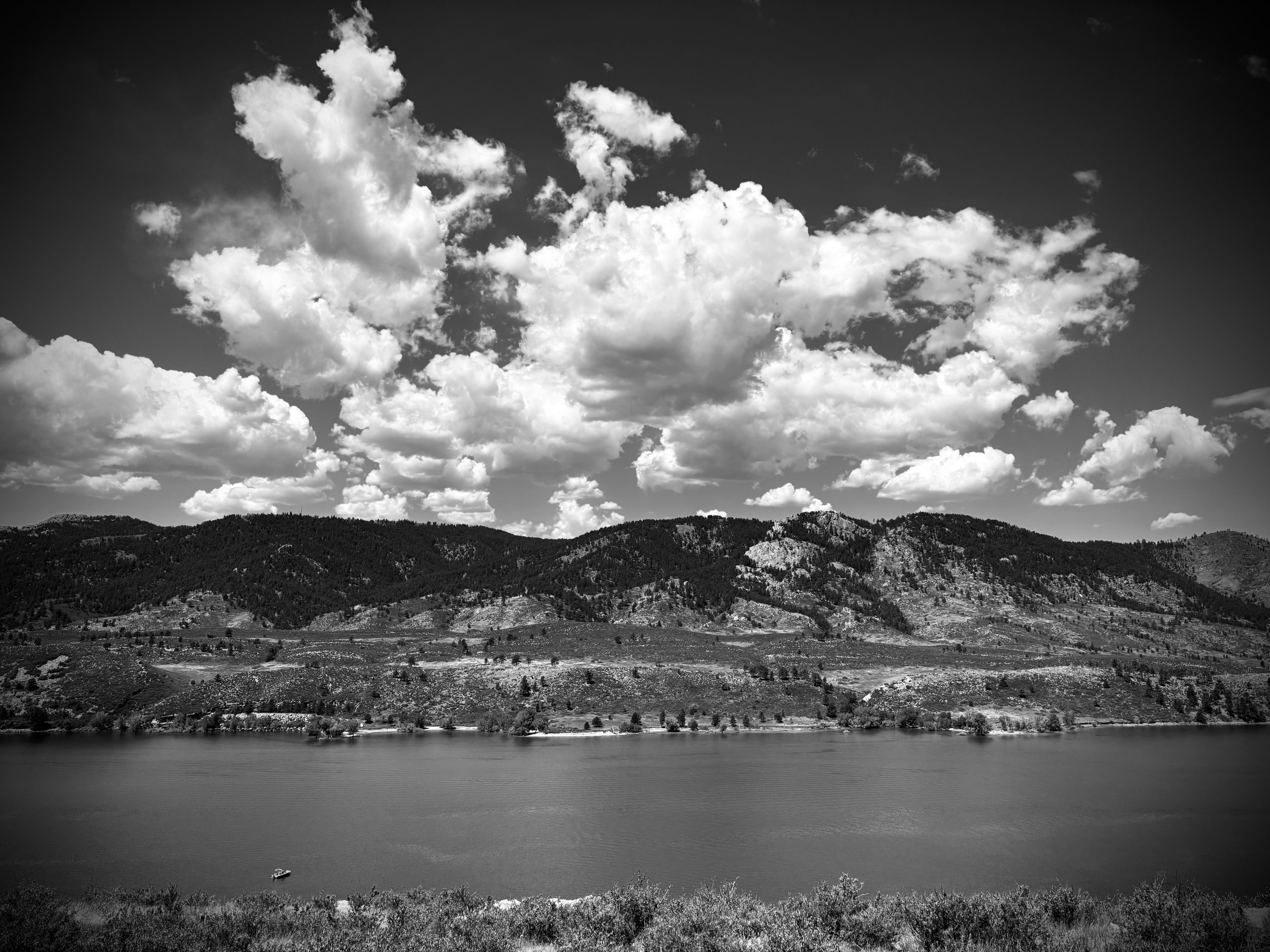 IMG_4476.jpeg