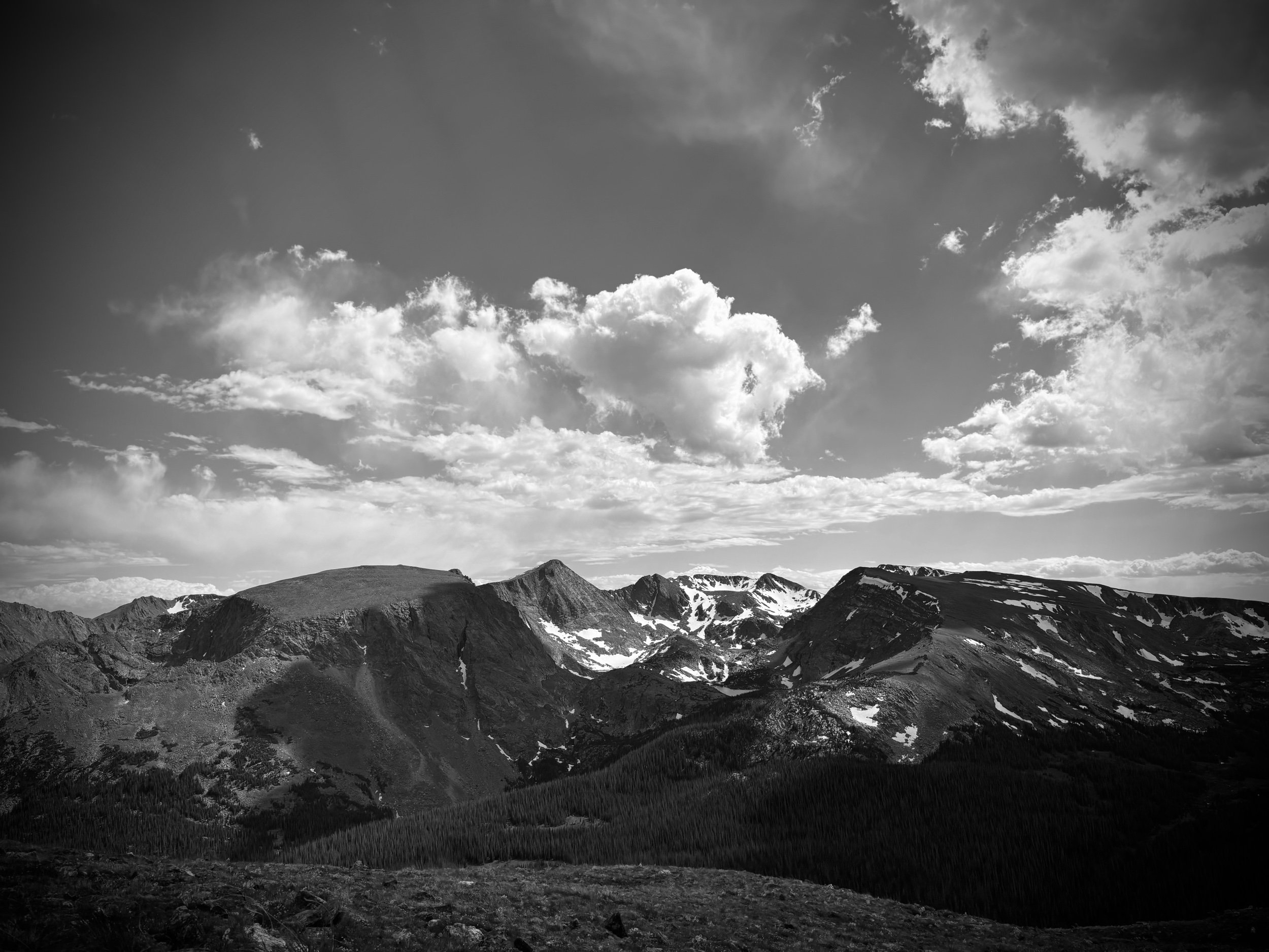 IMG_4638.jpeg