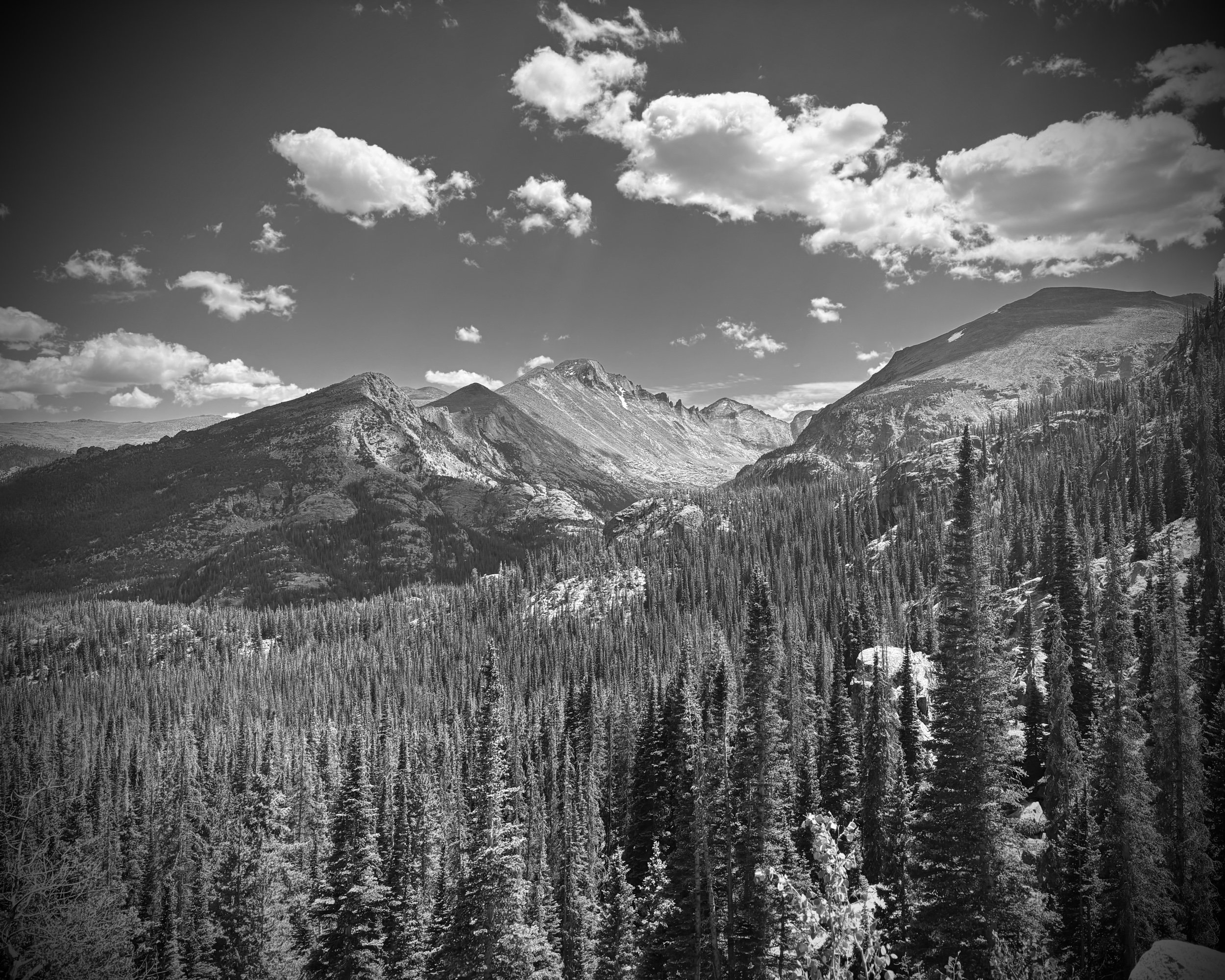 IMG_4759.jpeg