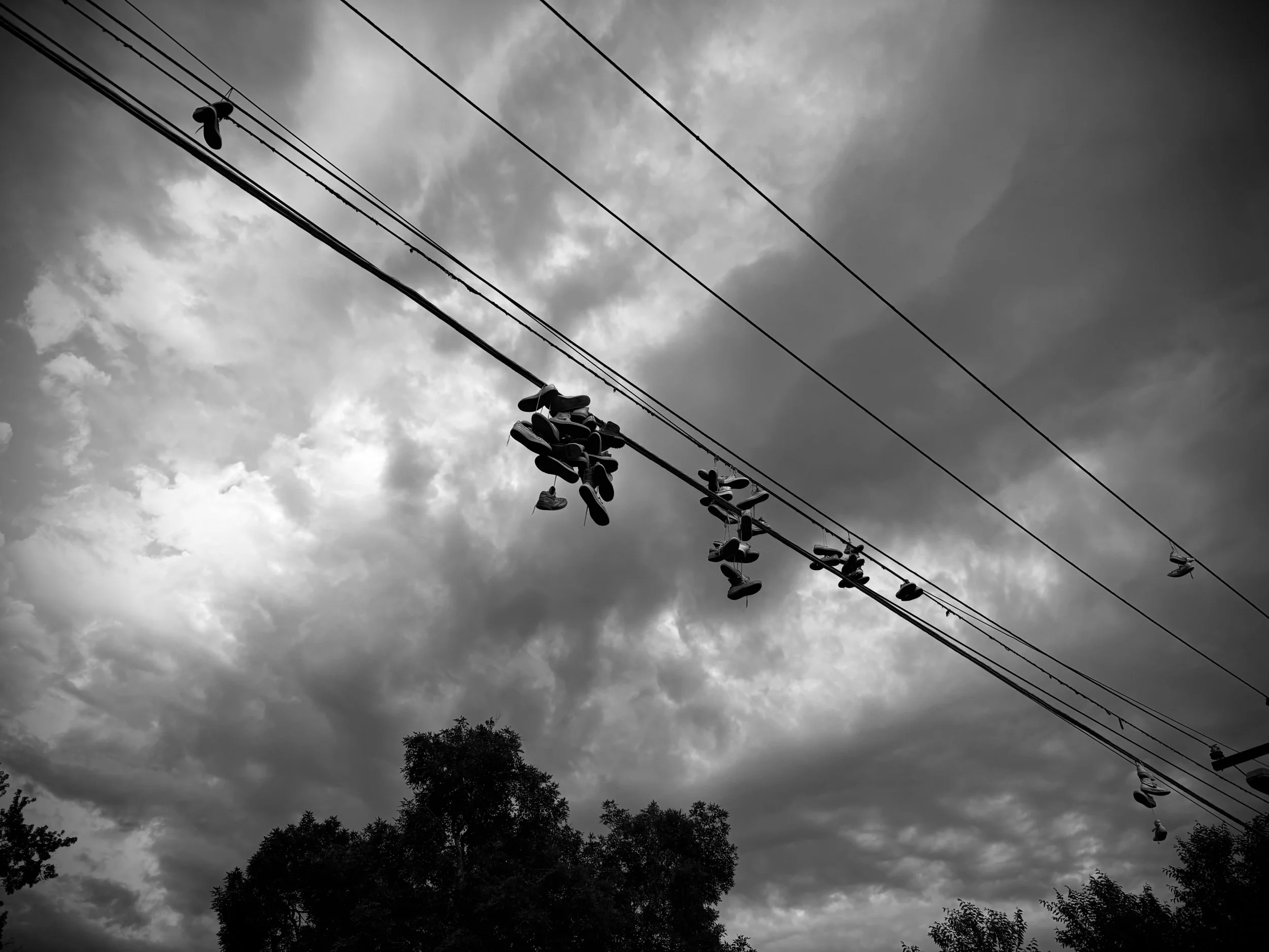 IMG_4819.jpeg