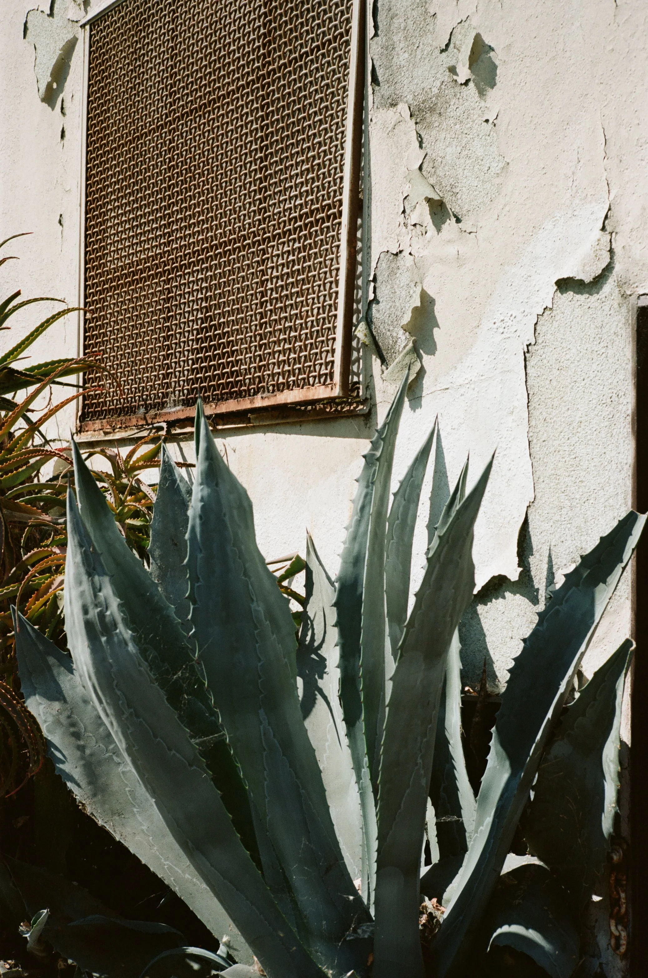 000294700036.jpg