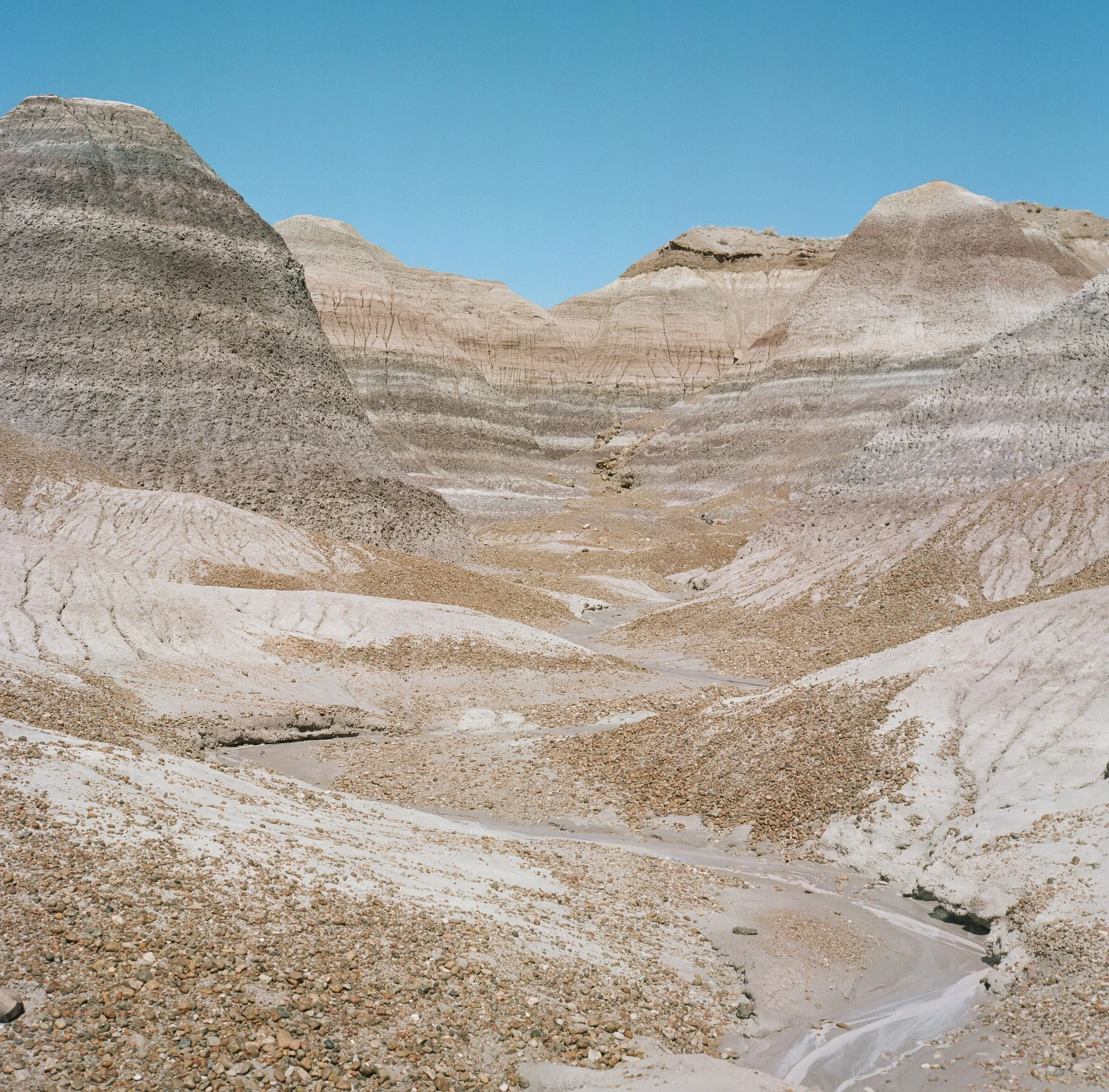 Petrified Forest, Arizona