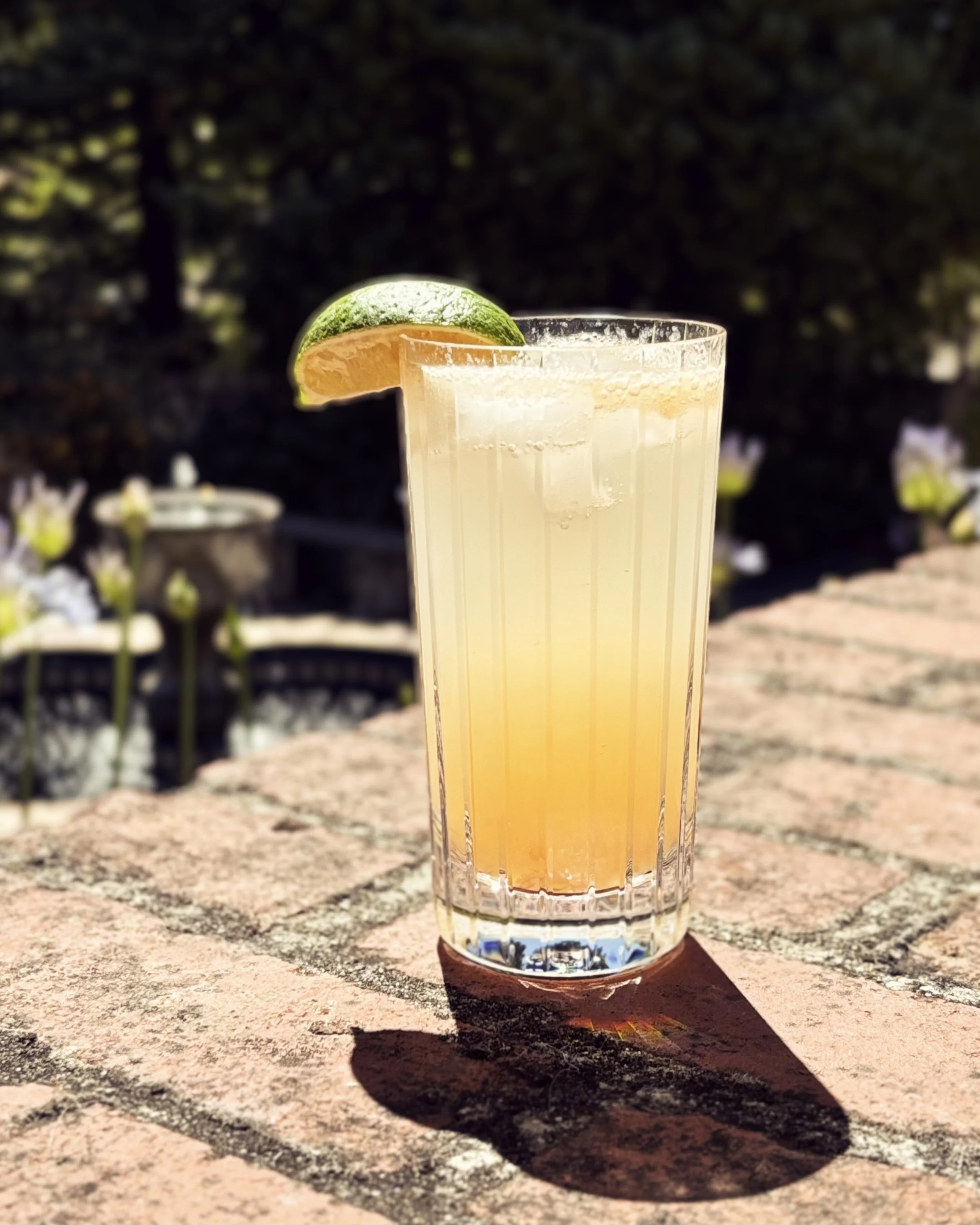 Shannon Tebay’s Paloma