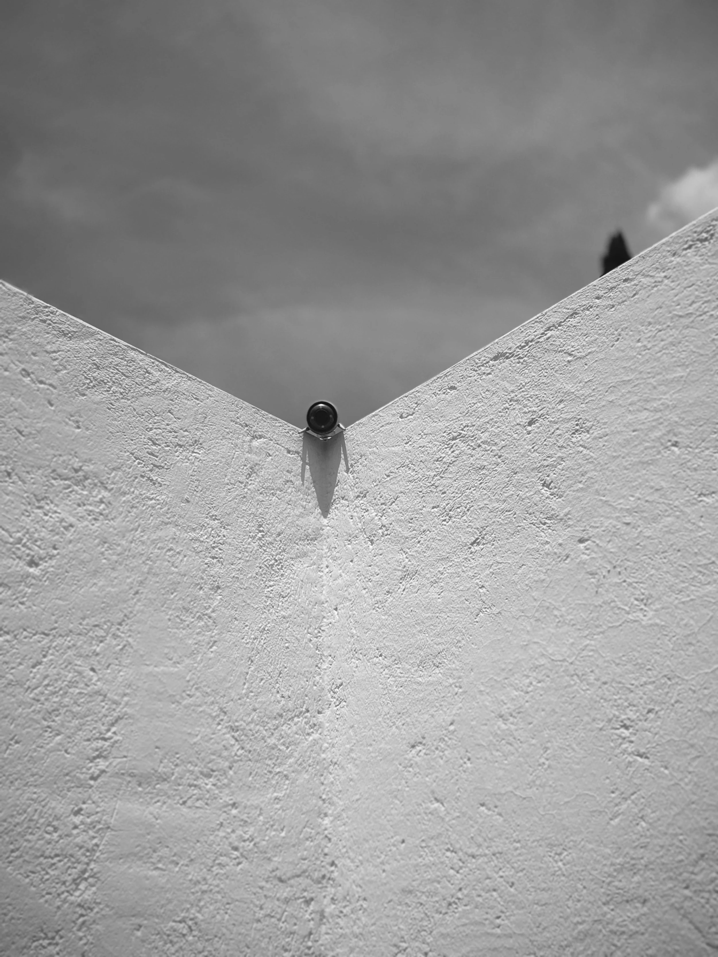 IMG_6464.jpeg
