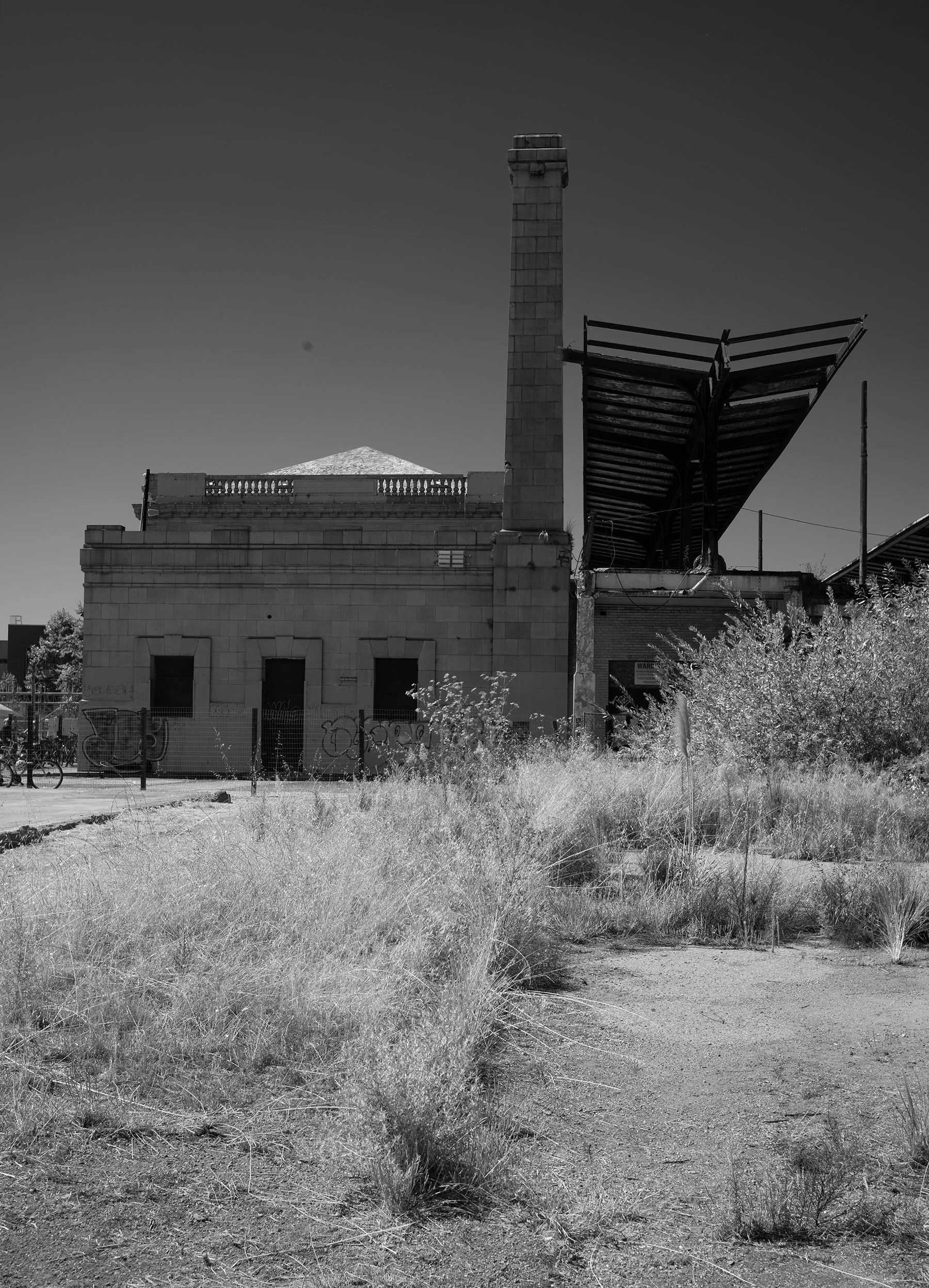 L1002573 copy.jpg