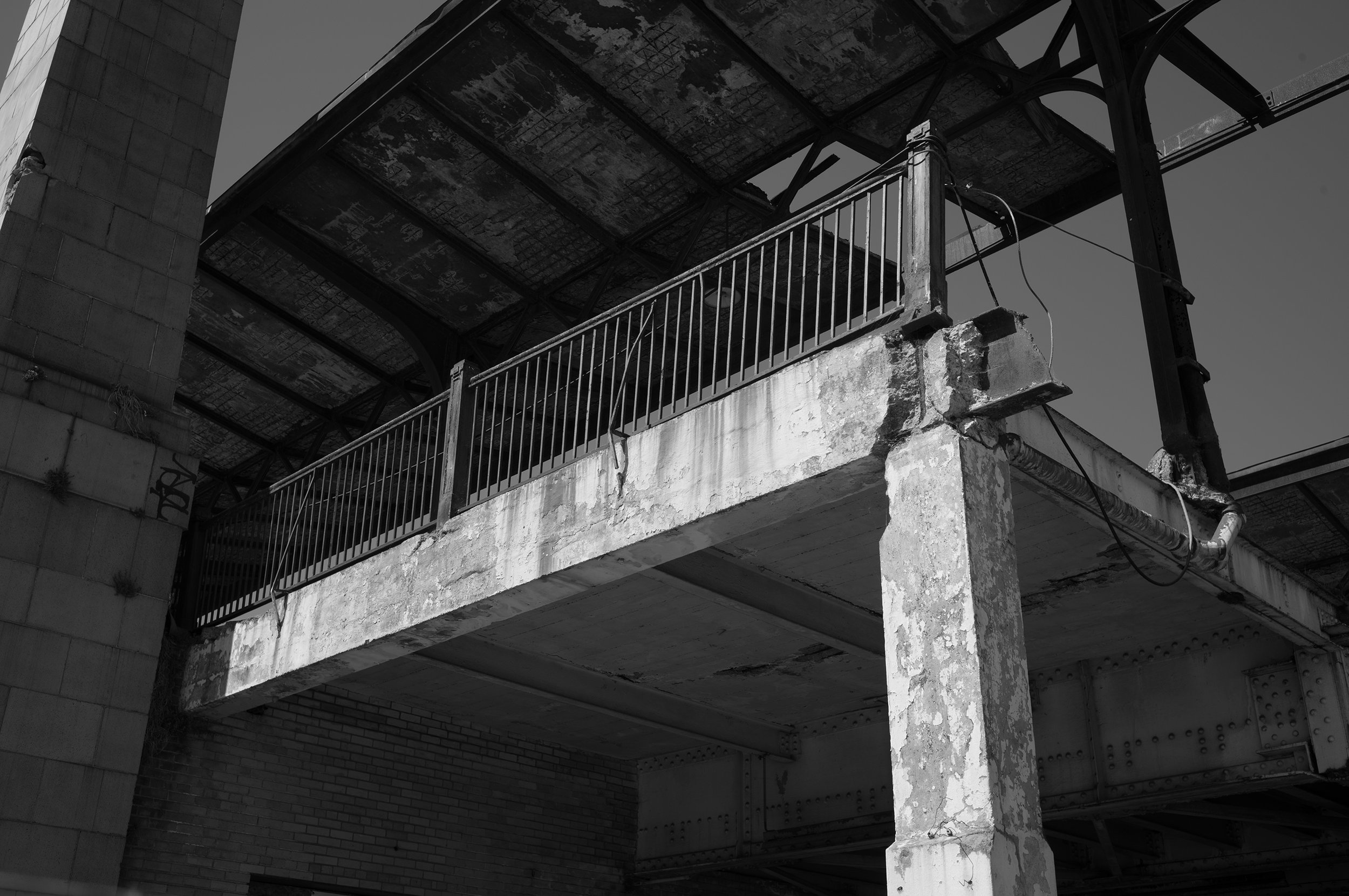 L1002632 copy.jpg
